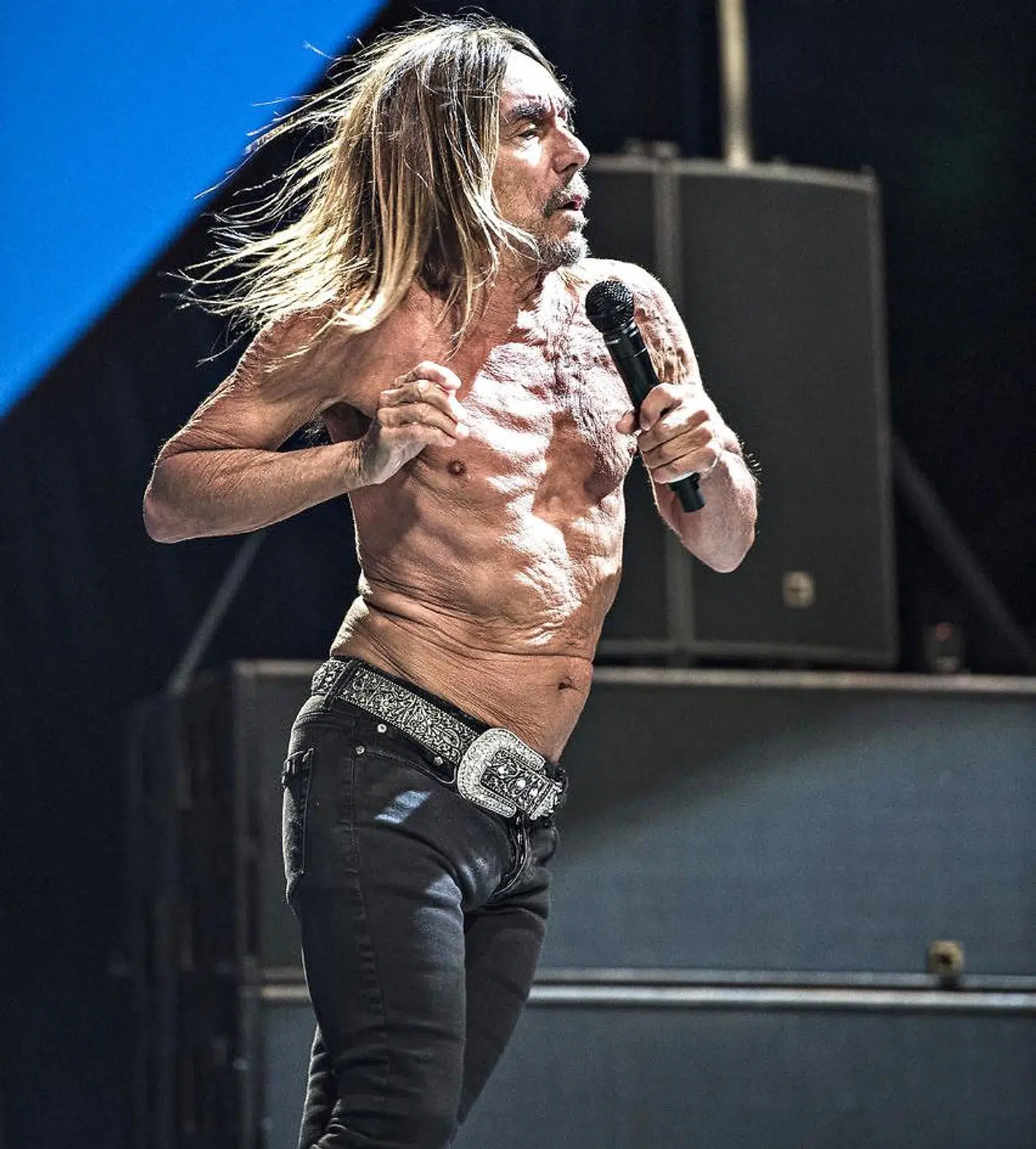 Iggy Pop på Northside i 2016.