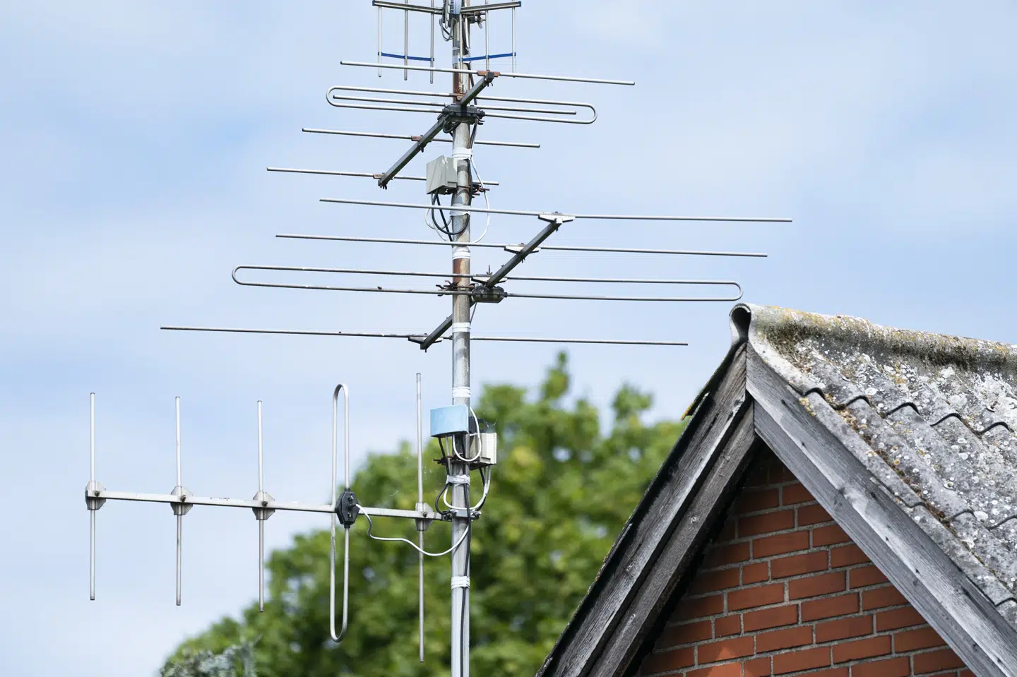 Kulturministeriet estimerede, at op mod 150.000 borgere kunne miste deres tv-signal, hvis signalet var blevet omlagt 31. marts. Claus Bech/Ritzau Scanpix