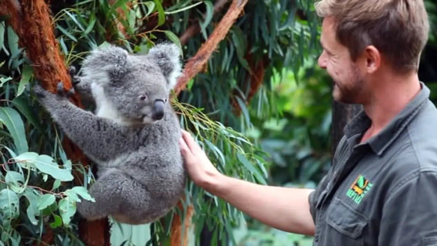 Foto: Australian Reptile Park