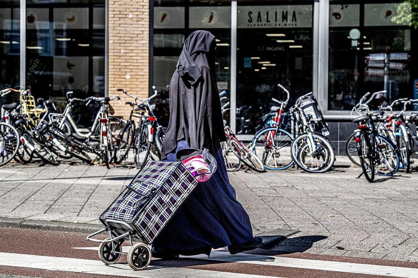 Danmark betalte i 2019 op til 215.000 kroner til indvandrere, hvis de valgte at rejse ud af Danmark og bosætte sig i deres hjemland.