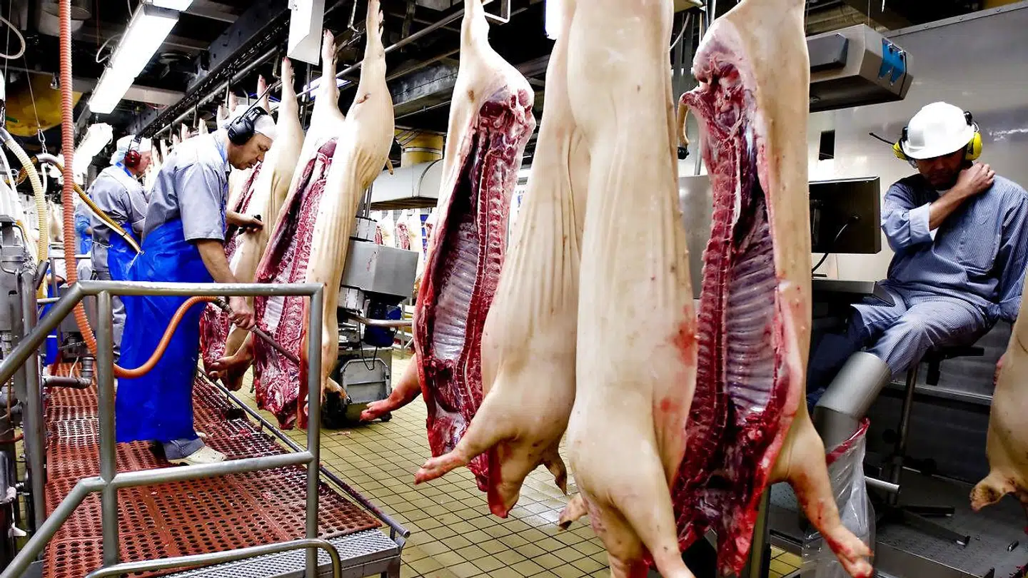 (ARKIV) Danish Crown-slagteriet i Holstebro.