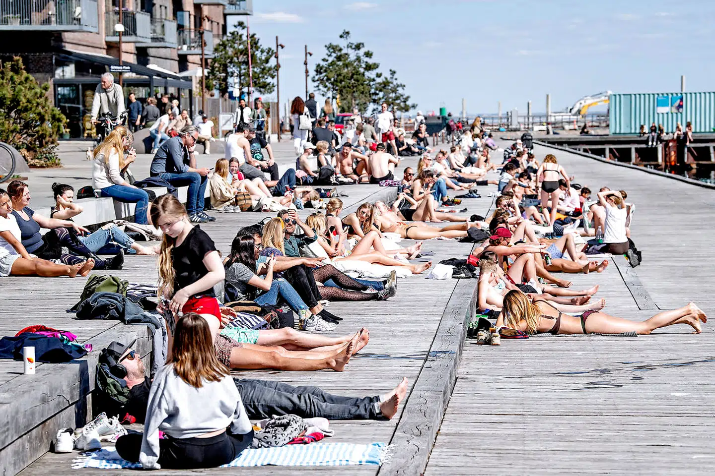 Mange unge nyder solen og bader ved Nordhavnen i København.