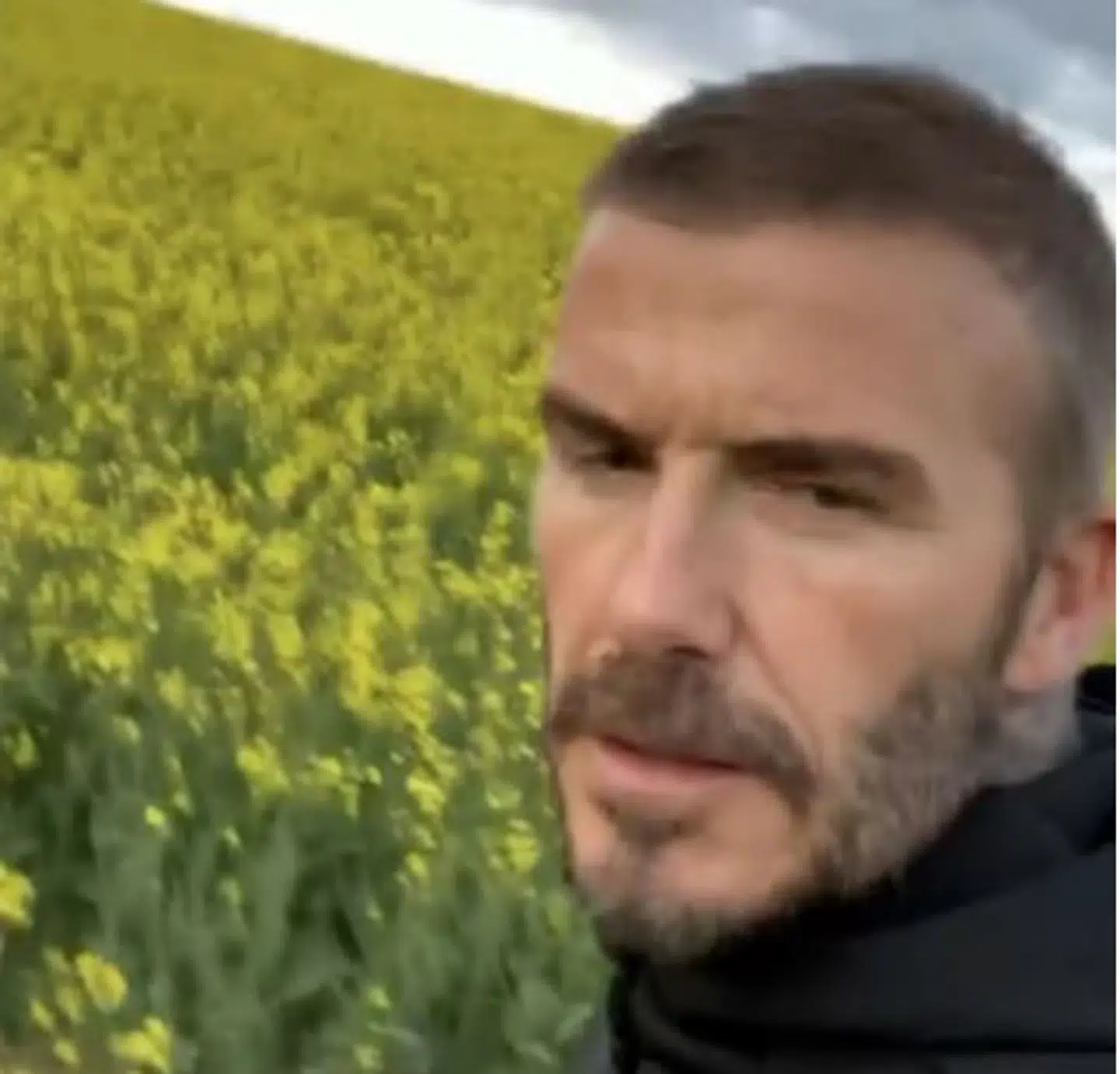 David Beckham på Instagram.