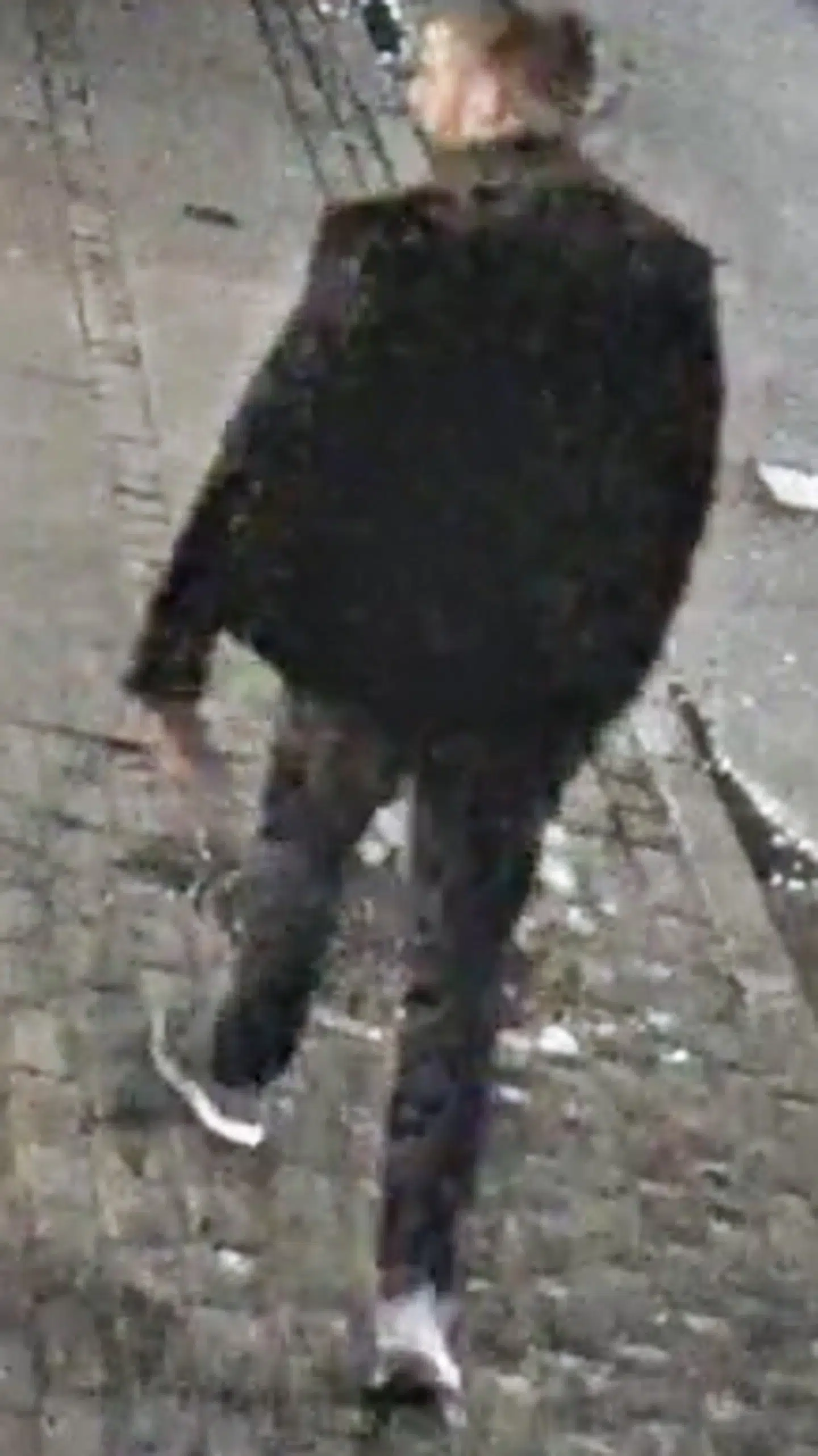 Har du set denne mand?