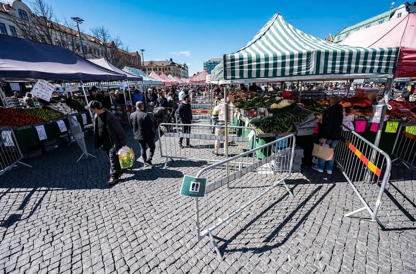I modsætning til mange andre steder i Europa, så har der været mere gang hos vores svenske naboer. her ses et grøntsagsmarked med hegn sat op til beskyttelse. Billedet er taget 25. april.