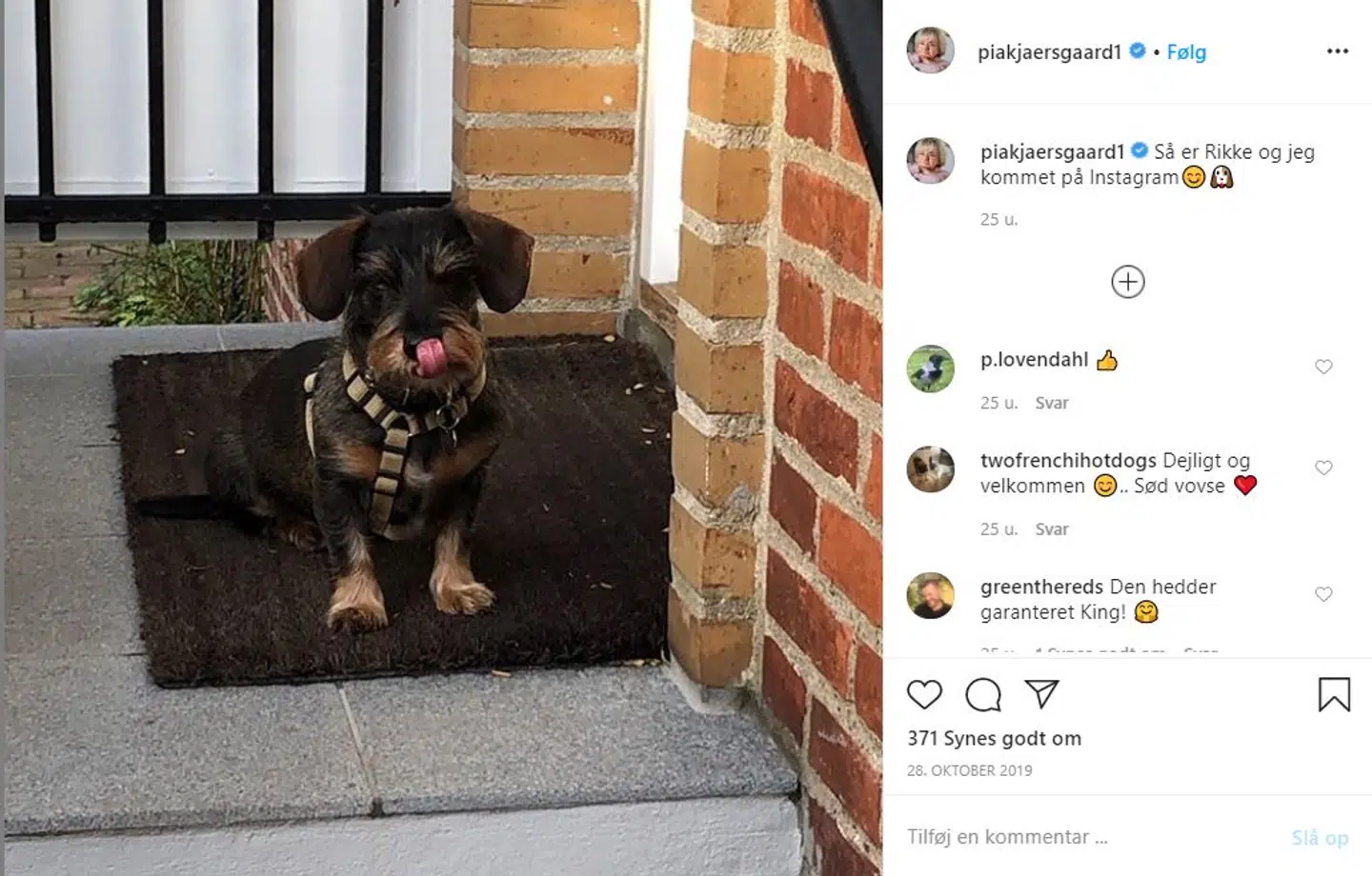 Pia Kjærsgaards første Instagram-opslag: Hunden Rikke.