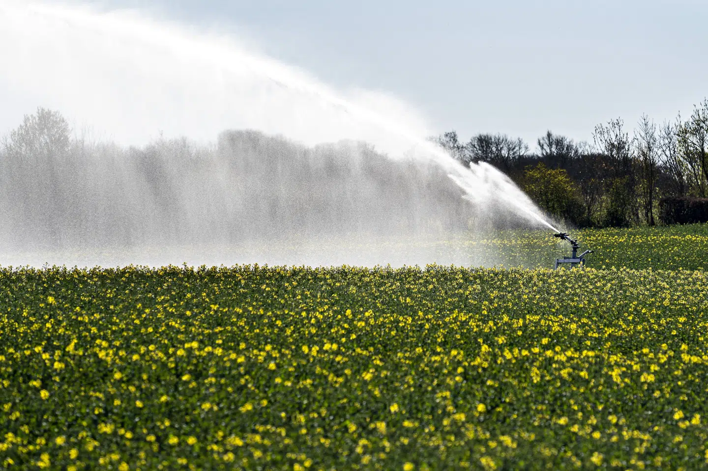 Flere af regeringens støttepartier mener, at regeringen arbejder for langsomt med at indfri de klimamål, der var en del af sidste års finanslov. (Arkivfoto) Henning Bagger/Ritzau Scanpix