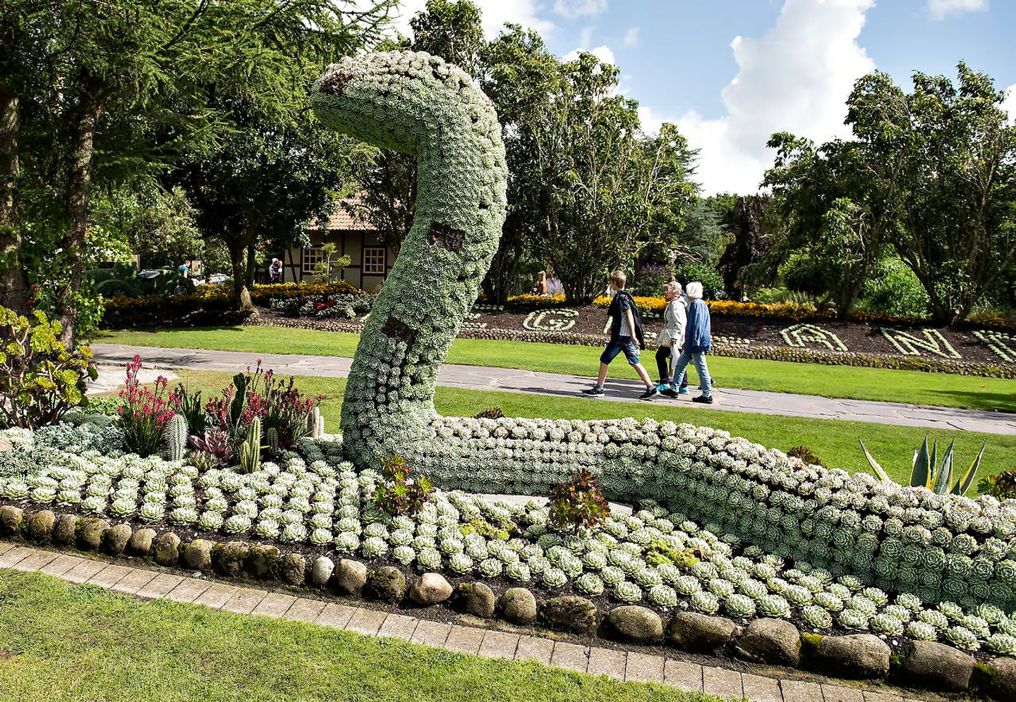CXO: Jesperhus Feriepark