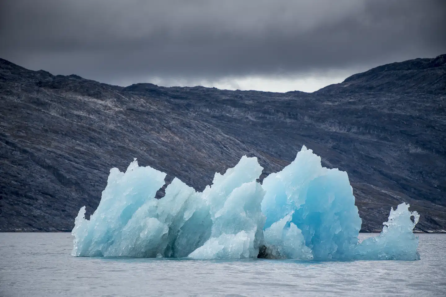 Coronaudbruddet kan reducere verdens samlede CO2-udslip med over fem procent i forhold til sidste år. Det viser en analyse fra klimanyhedshjemmesiden Carbon Brief ifølge ABC Nyheder. Mads Claus Rasmussen/Ritzau Scanpix