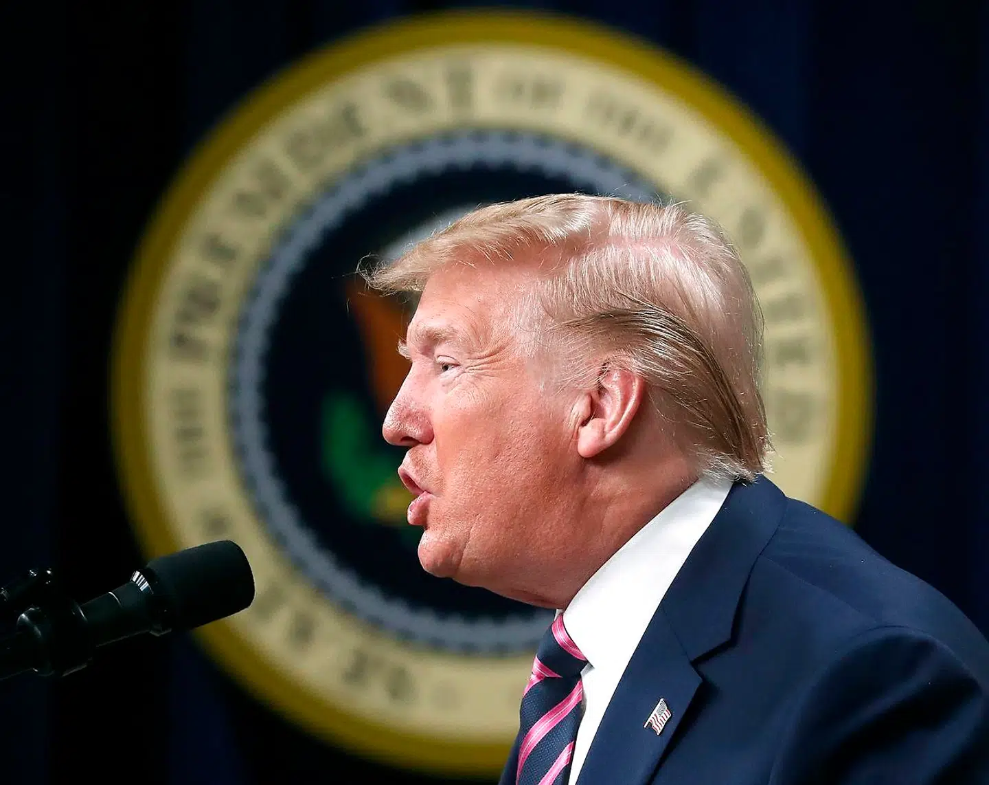 USA's præsident Donald Trump.