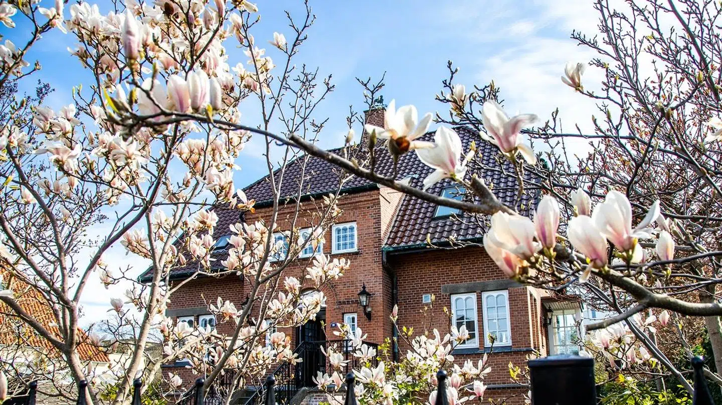 Lemchesvej er en af de hyggerligere 'sundveje', siger ejendomsmægler Claus Borg. Og hyggeligt ser der da også ud ved Caroline Flemings nye bolig.
