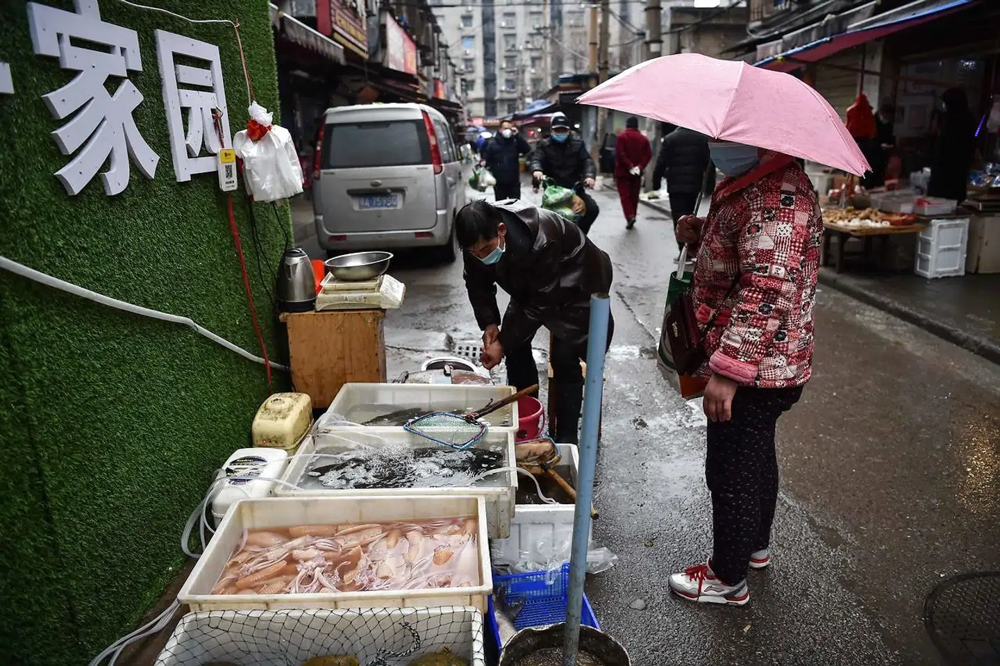 Et marked i Wuhan, hvor den nye coronavirus blev opdaget i januar i år. (Photo by Hector RETAMAL / AFP)