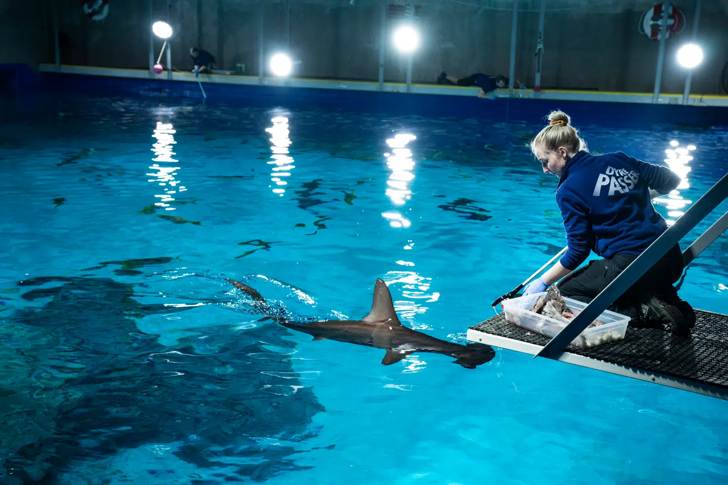 Dyrene skal fortsat passes i Den Blå Planet.