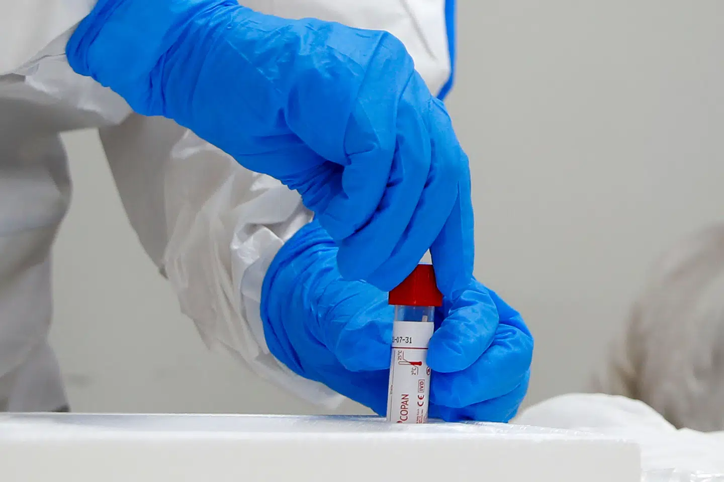 Regionerne etablerer en biobank med prøver fra coronasmittede danskere. Håbet er, at forskere kan bruge data i arbejdet med at udvikle en vaccine mod virusset. (Arkivfoto). Jack Guez/Ritzau Scanpix