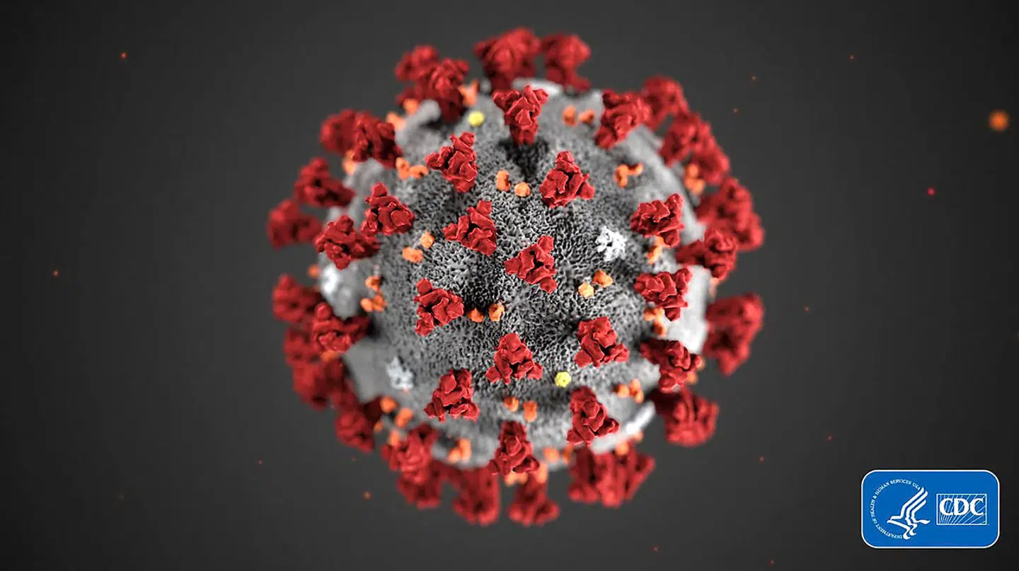 Coronavirus er især farligt for ældre og svagelige, da risikoen for død er betydeligt højere