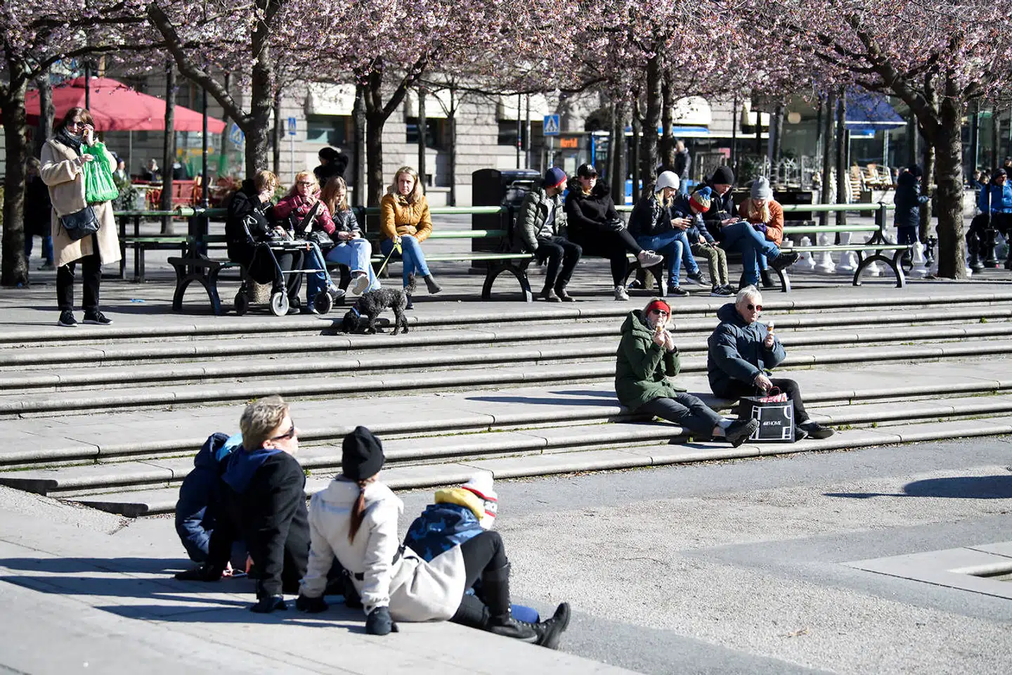 I mandagens gode vejr fandt svenskerne også sammen i parken Kungsträdgården i Stockholm.