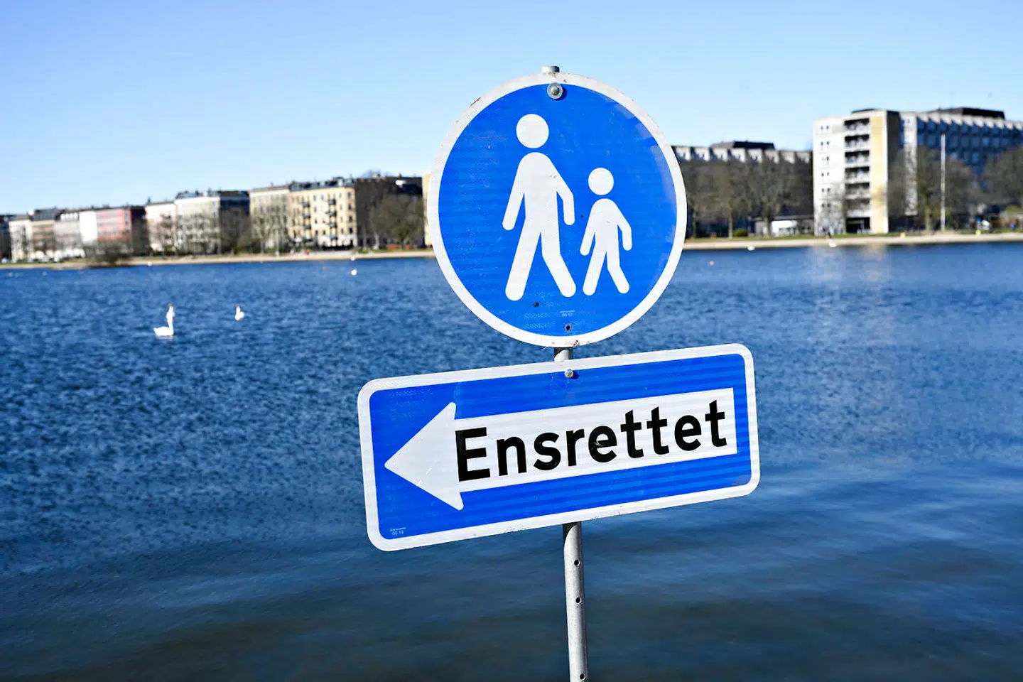 Ved søerne i København er stierne nu ensrettede for at undgå, at løbere og gående kommer for tæt på hinanden.