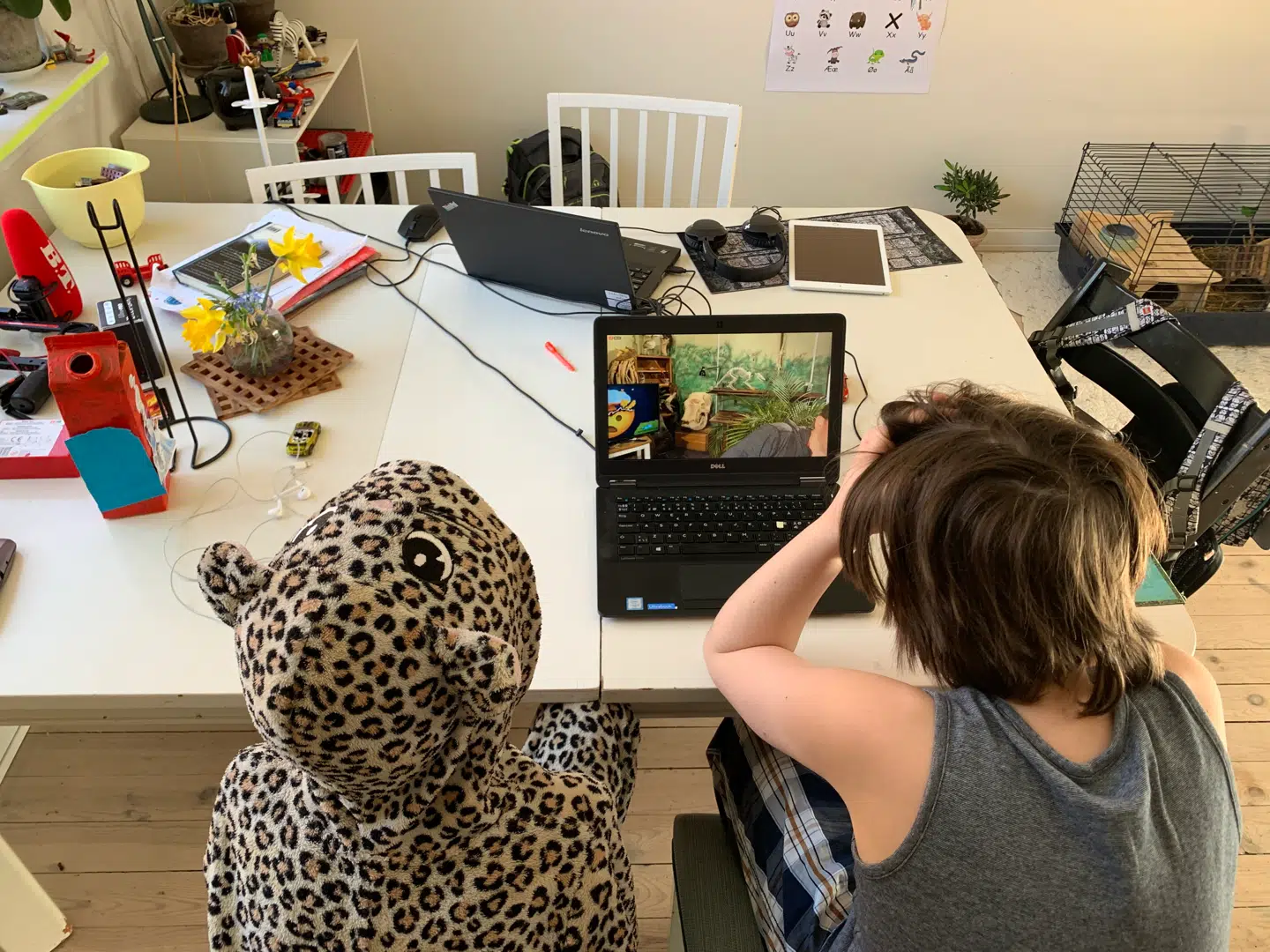 Det gode gamle skolelærertrick med at sætte en film på kan anbefales. Her er der livestreaming af biologiundervisning direkte fra Randers Regnskov. Der er adskillige af den slags tilbud rundt omkring.