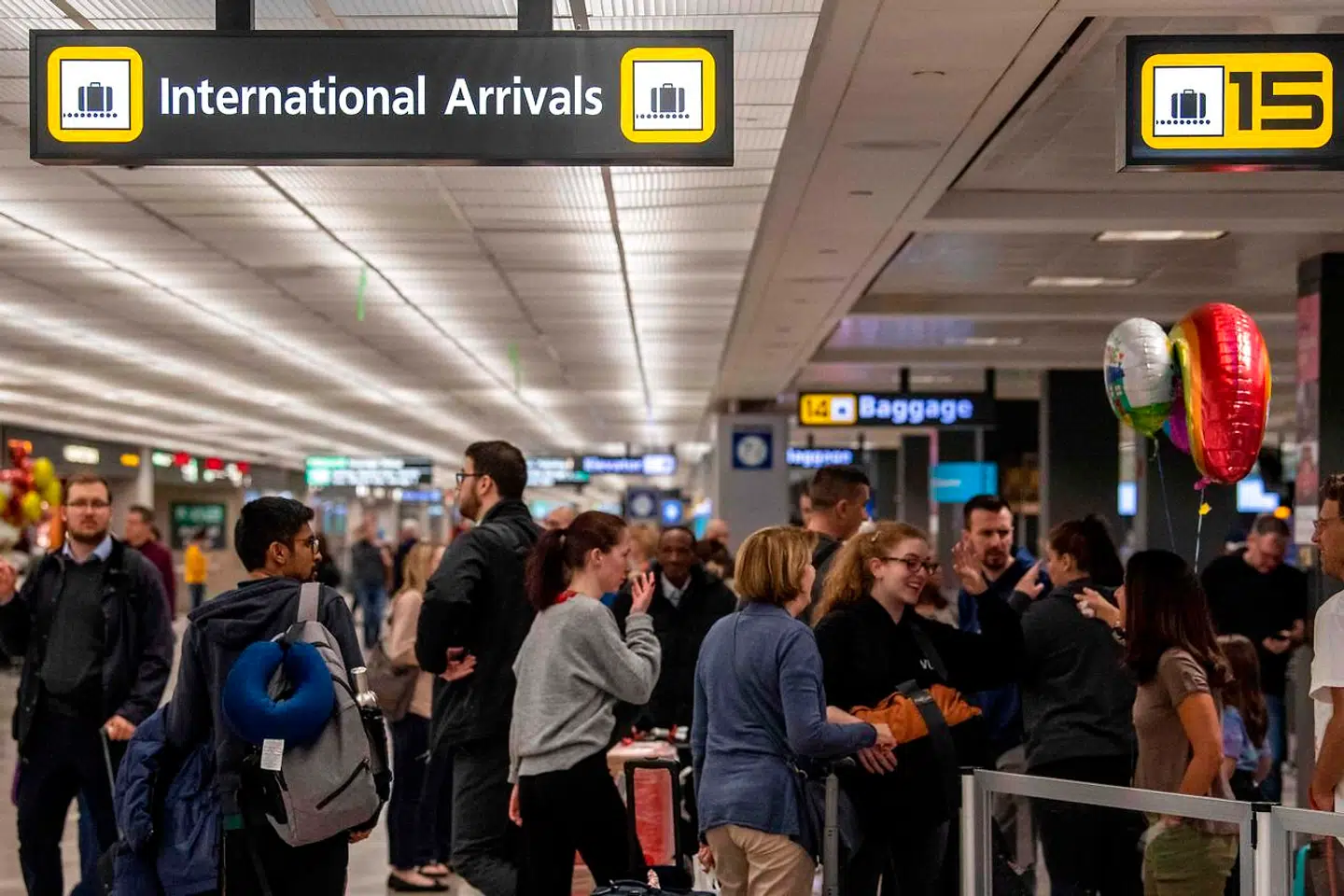 Køer i amerikanske lufthavne.