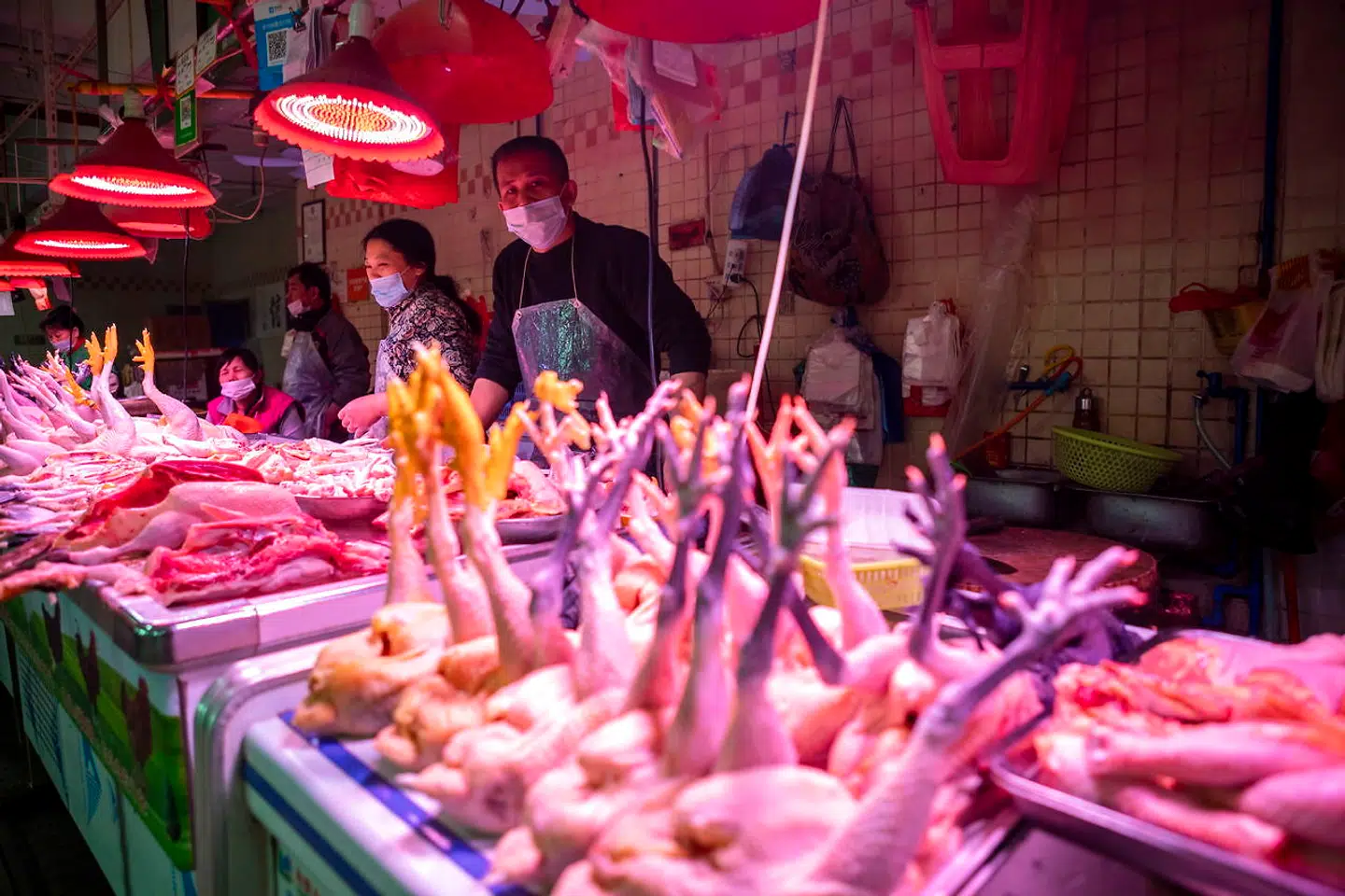 epa08189965 People sell chickens while wearing protection mask to protect themselves from coronavirus and H5N1 Bird Flu at the market in Guangzhou, Guangdong Province, China, 03 February 2020. Wearing masks in metro and all public places in Guangzhou is mandatory and offenders faces penalties if they don't obey this law. After the coronavirus outbreak in Wuhan, Hubei province at the beginning of this year, the Ministry of Agriculture and Rural Affairs of China said in statement that authorities had culled almost 18, 000 chickens because of outbreak of H5N1 bird flu in Hunan province which is next to Hubei. EPA/ALEX PLAVEVSKI