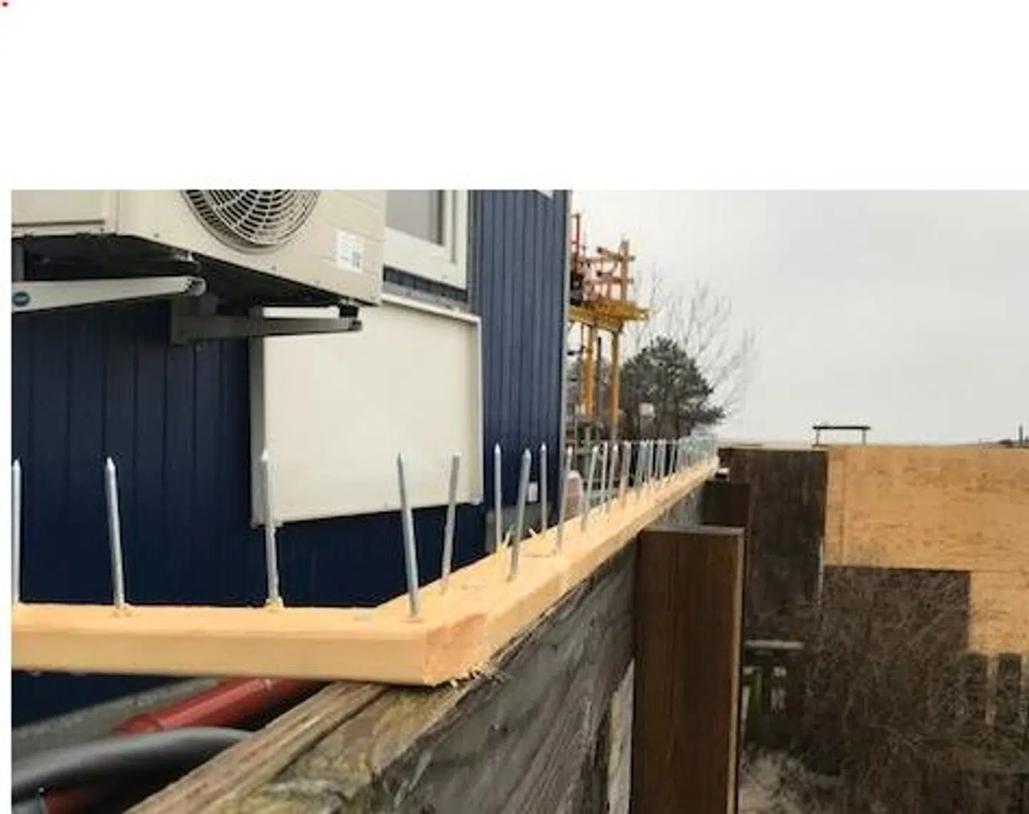 Dyrenes Beskyttelse kalder søm-hegnet 'dybt godnat'.