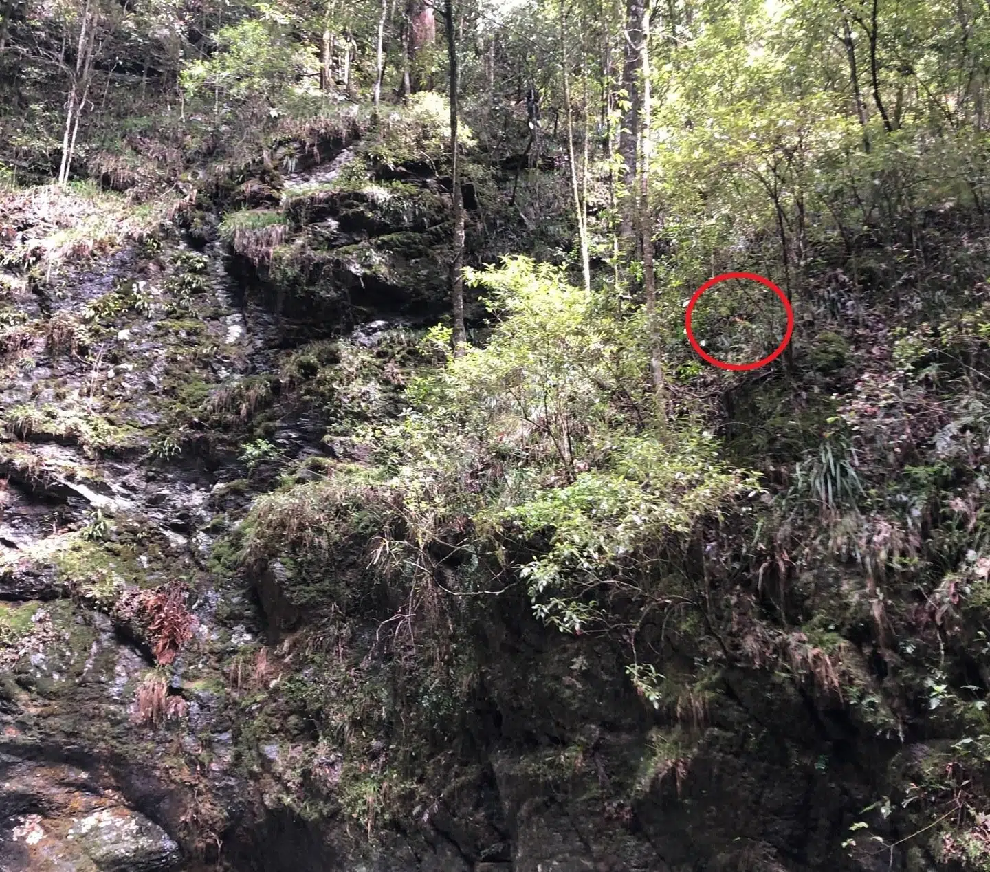 Dykkerne var nødsaget til at bestige klippen for at nå frem til Yang Chen.