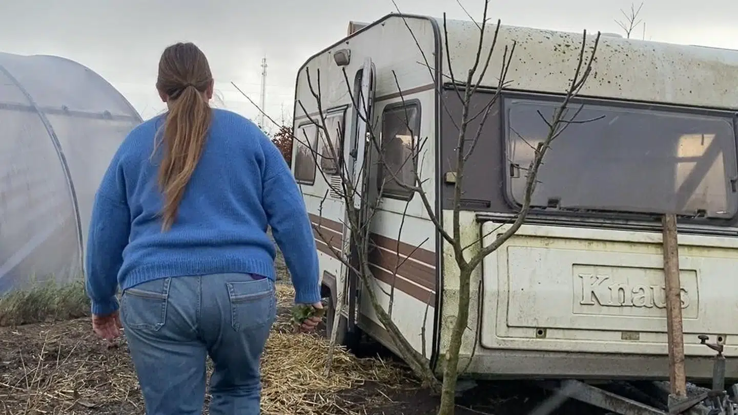 Hønsehuset er en gammel campingvogn, så hønsene kan flyttes rundt på gården afhængig af, hvor der er brug for at blive fjernet ukrudt.