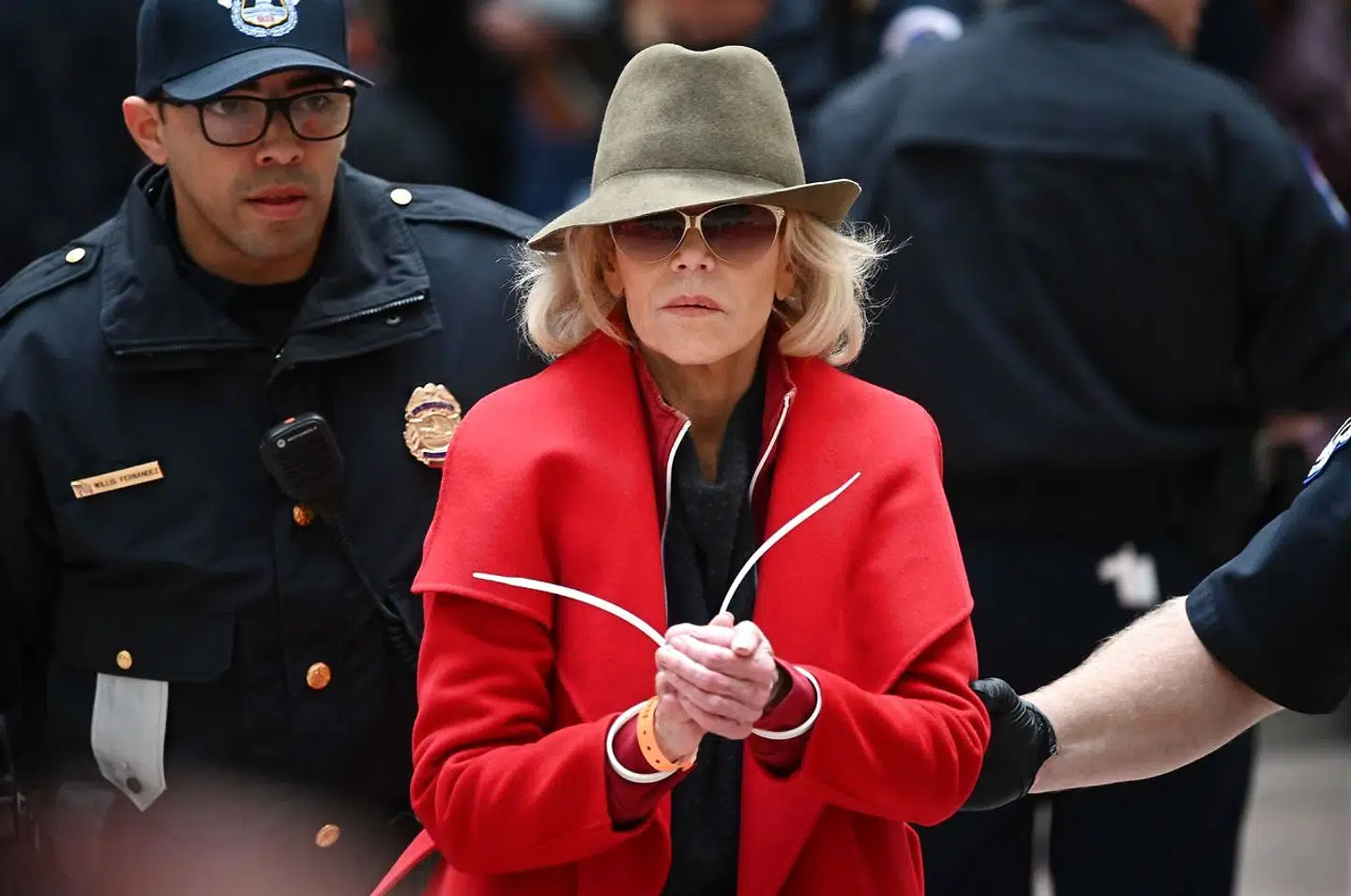 Jane Fonda anholdt ved en protestaktion i Washington sidste efterår.