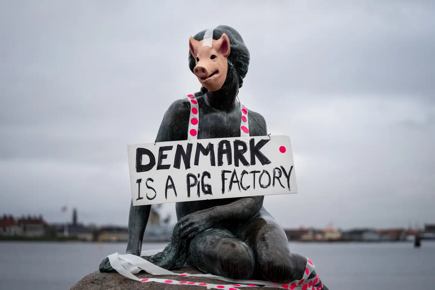 Veganerpartiet demonstrede onsdag eftermiddag ved Den Lille Havfrue i København for at sætte fokus på dansk griseproduktion. På billedet ses Den Lille Havfrue med grisemaske og et skilt, hvor der står Denmark is a pig factory. Liselotte Sabroe/Ritzau Scanpix