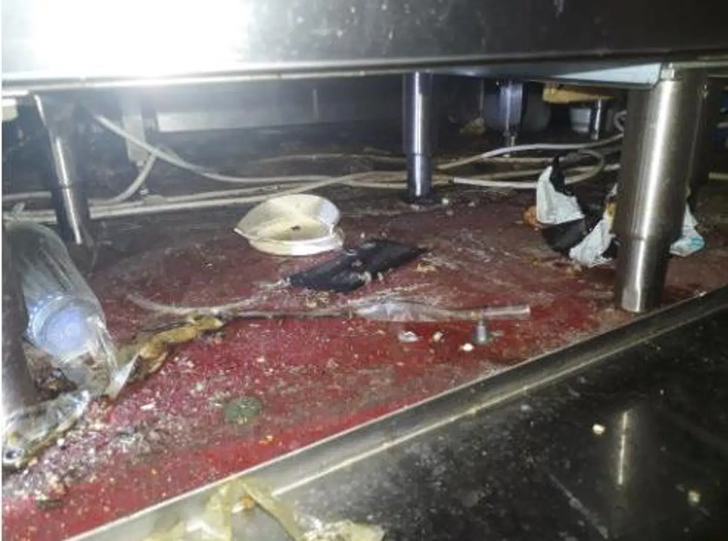 Der langtfra rent nok for Fødevarestyrelsens kontrollant under et besøg hos Jensens Bøfhus i Odense 26.09.2019. Her fandt man støv, produktrester og emballage under skabet i takeaway-området.