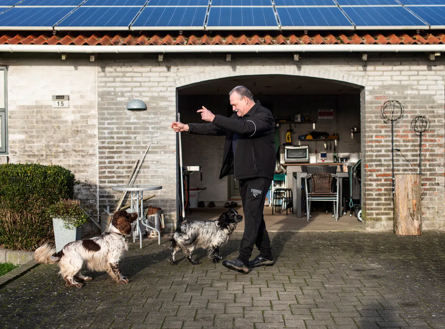 Arnes jagthunde er glade for hans sygemelding. Foto: Michael Nørgaard