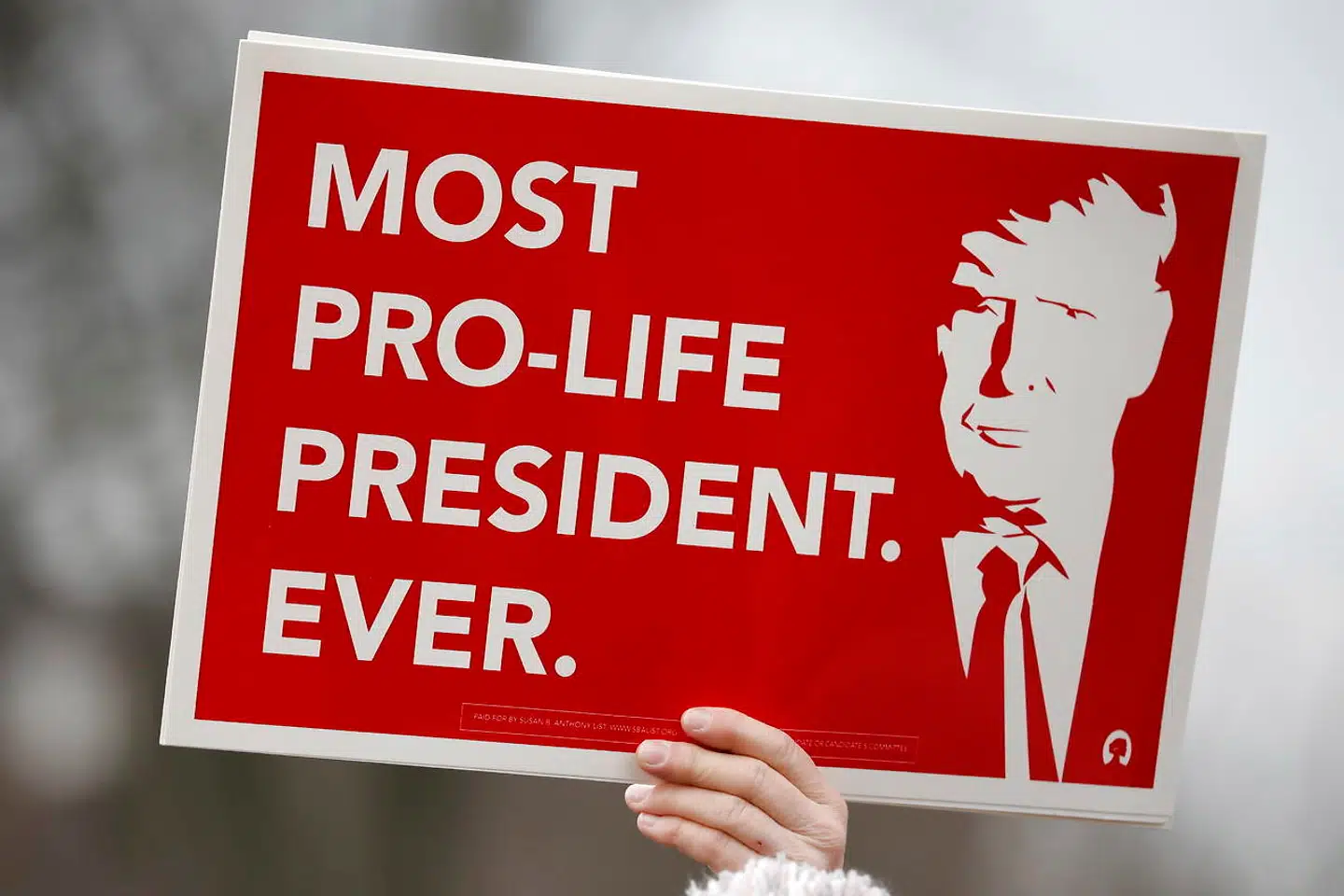 Et skilt til årets anti-abort demonstration i Washington D.C.