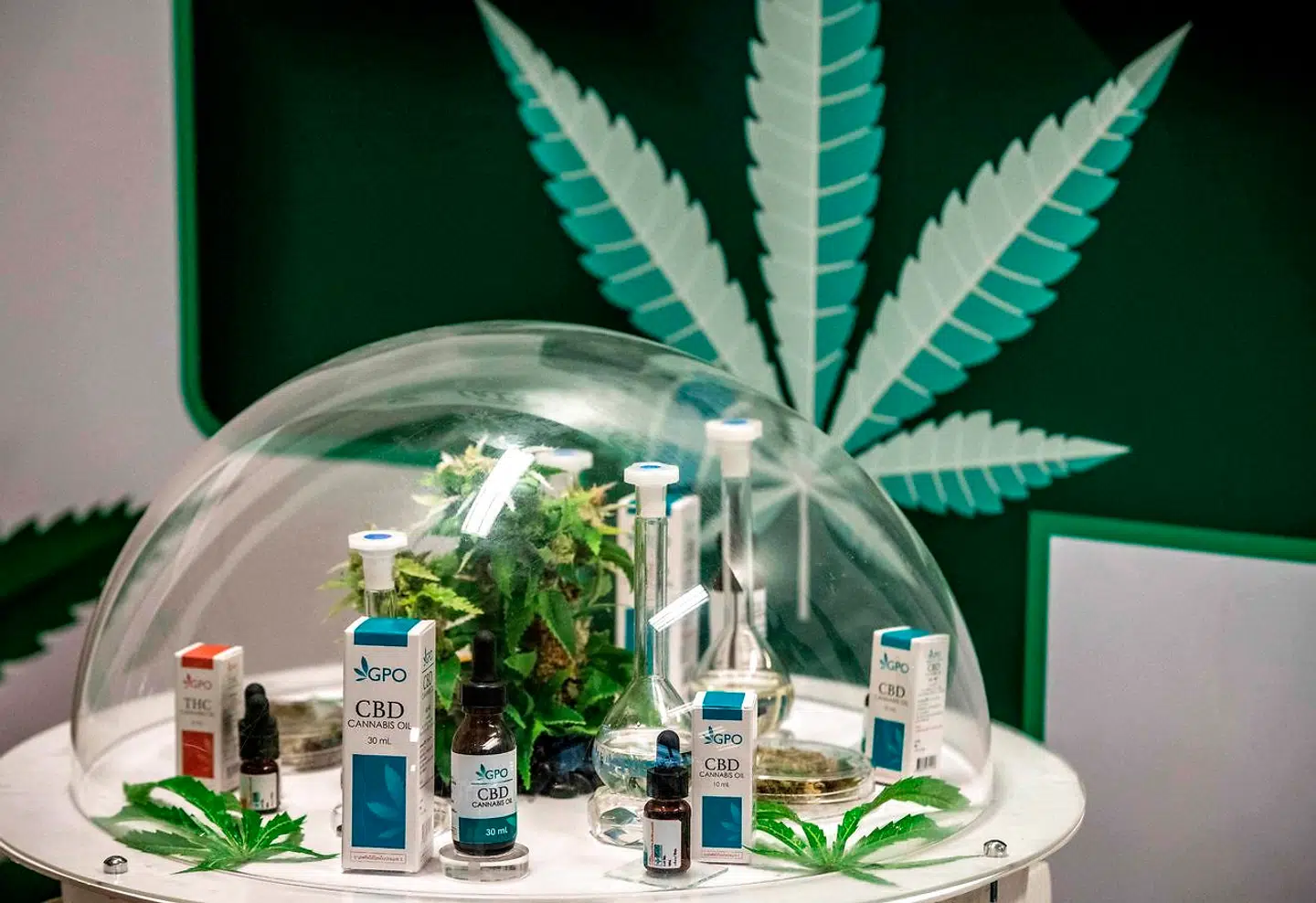Der var cannabidiol (CBD) til rådighed i den nye marihuana-klinik.