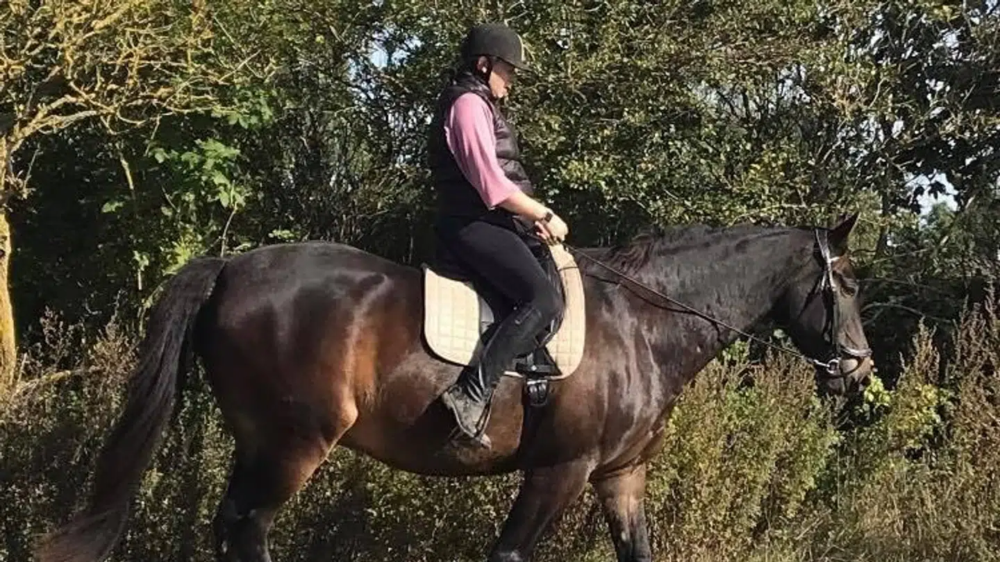 Her Malene Dunja Schwerb Leithved og den hest, hun i mandags red på, da braget lød. Hun beskriver hesten som 'så sløv, at det gør helt ondt'. Derfor skal der ifølge hendes udsagn også meget til, før han bare løber afsted.