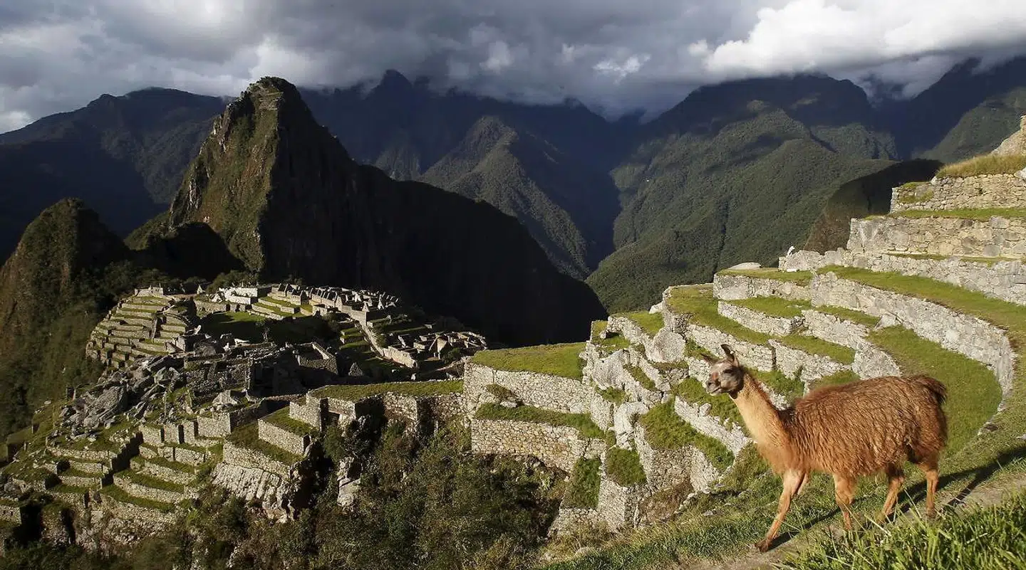 Denne udsigt fotograferer næsten alle Machu Picchus besøgende.