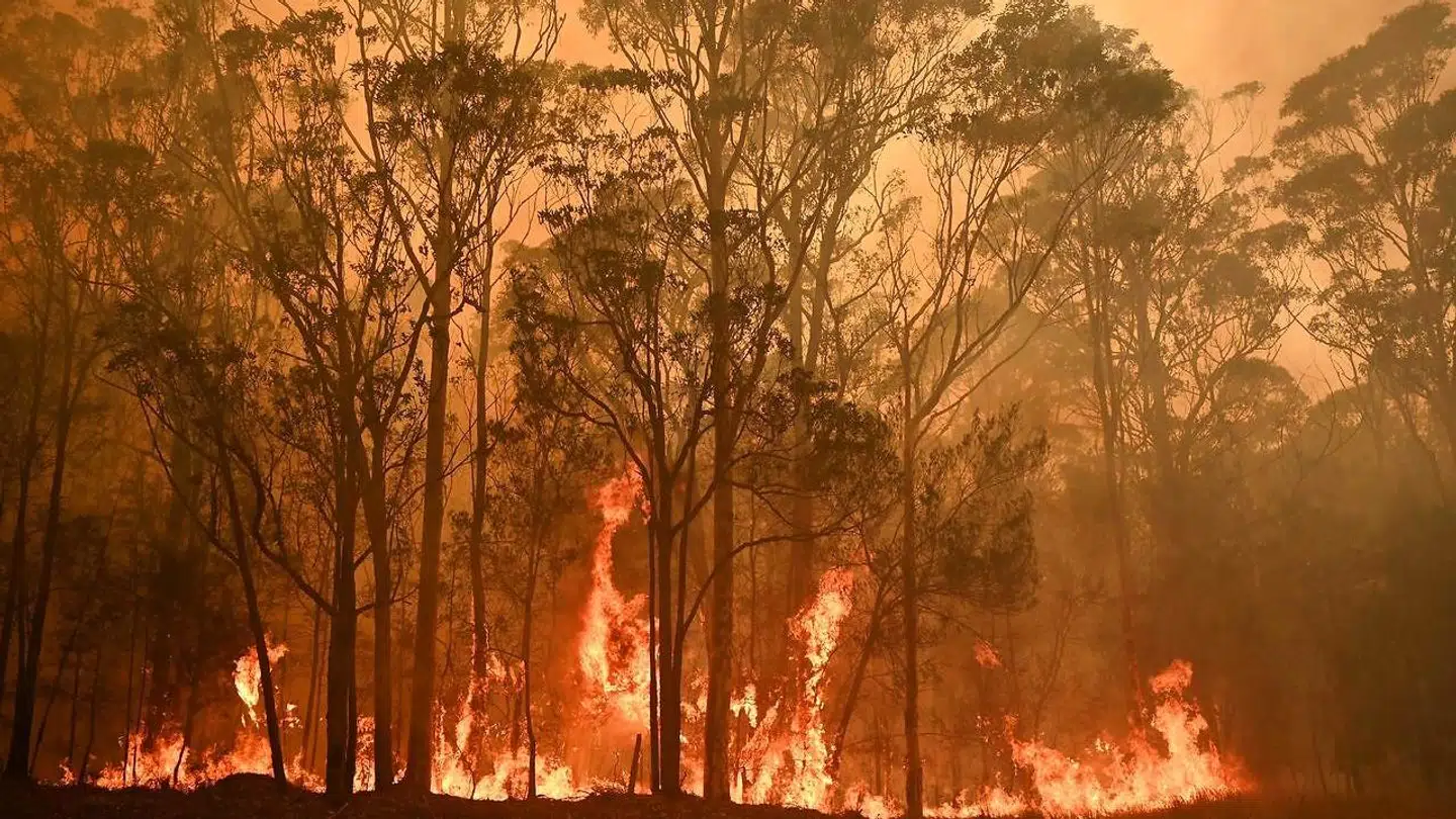 I månedsvis har voldsomme naturbrande hærget i Australien.