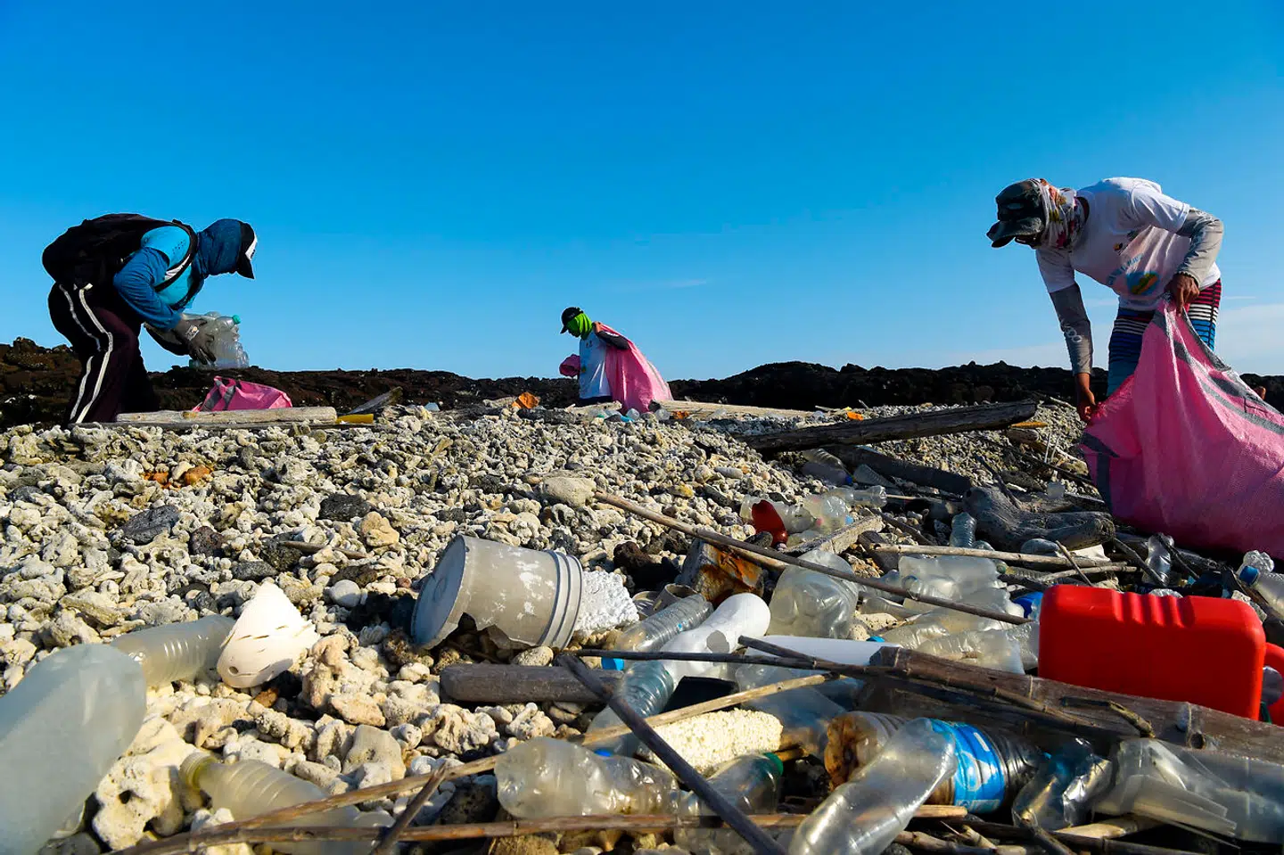 Galapagos National Park, hvor der er store problemer med plastik nær og i havet.