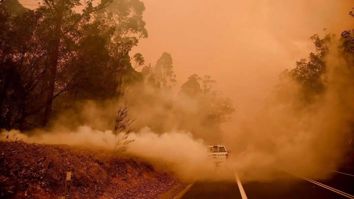 Mere end seks millioner hektar er brændt ned i Australien under den igangværende brandsæson.