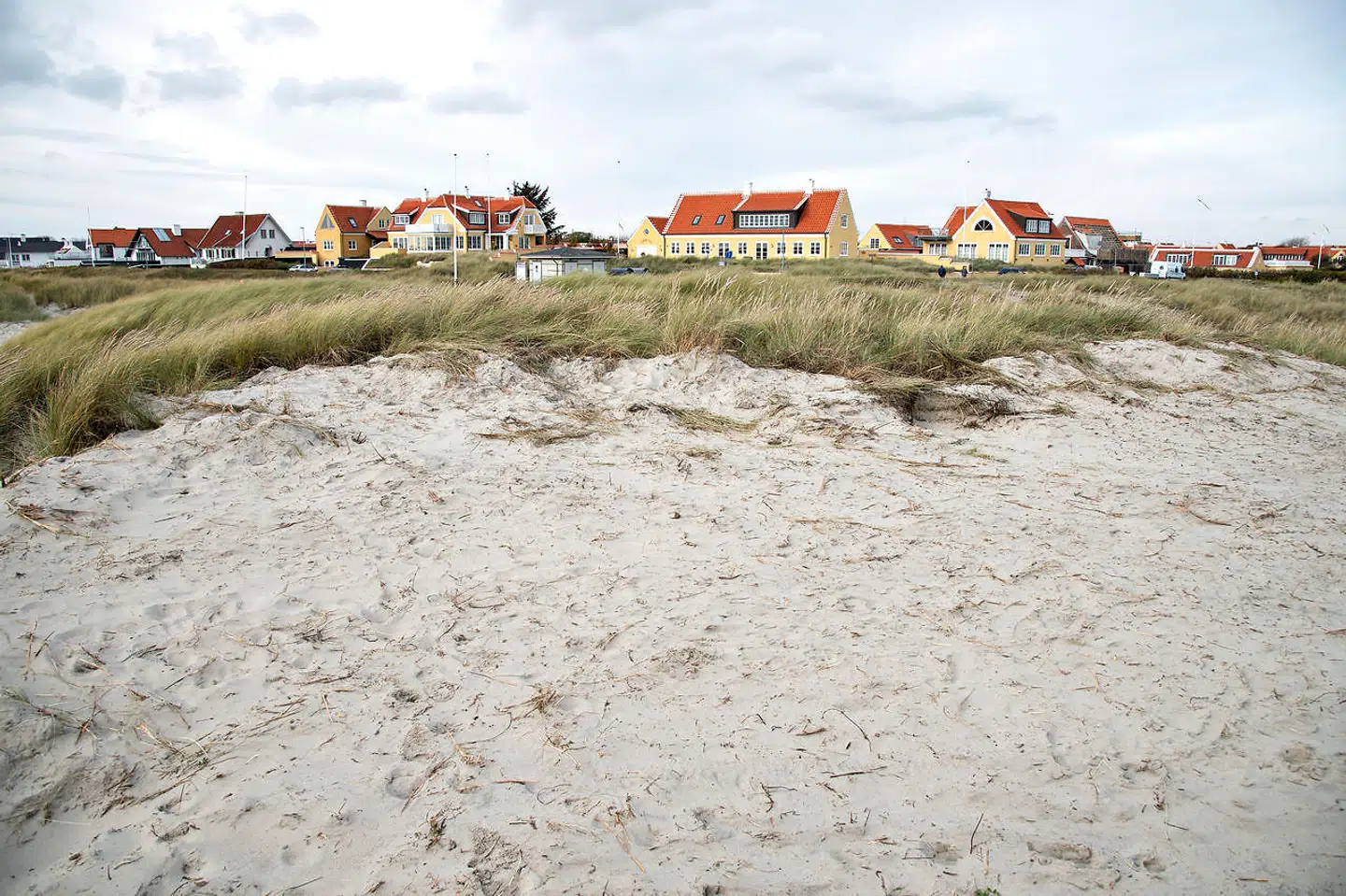 Den ødelagte fredede klit ved Skagen Sønderstrand, hvor en gummiged i nattens mulm og mørke har fjernet toppen af et stort klitområde og skubbet sandet ned på stranden.