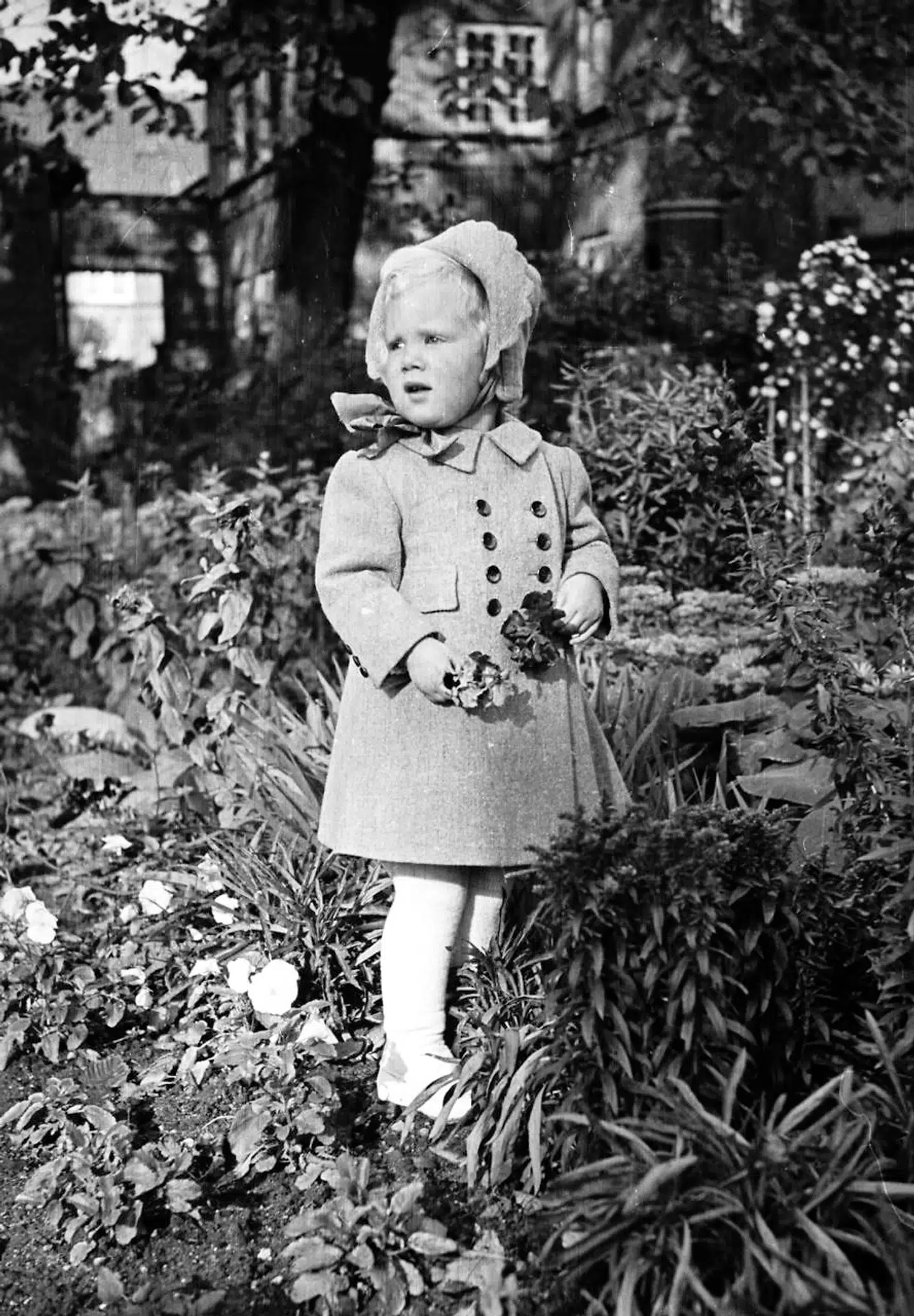 Prinsesse Margrethe plukker blomster til sine forældre, kronprins Frederik og kronprinsesse Ingrid, i haven ved Amalienborg i påsken 1943.