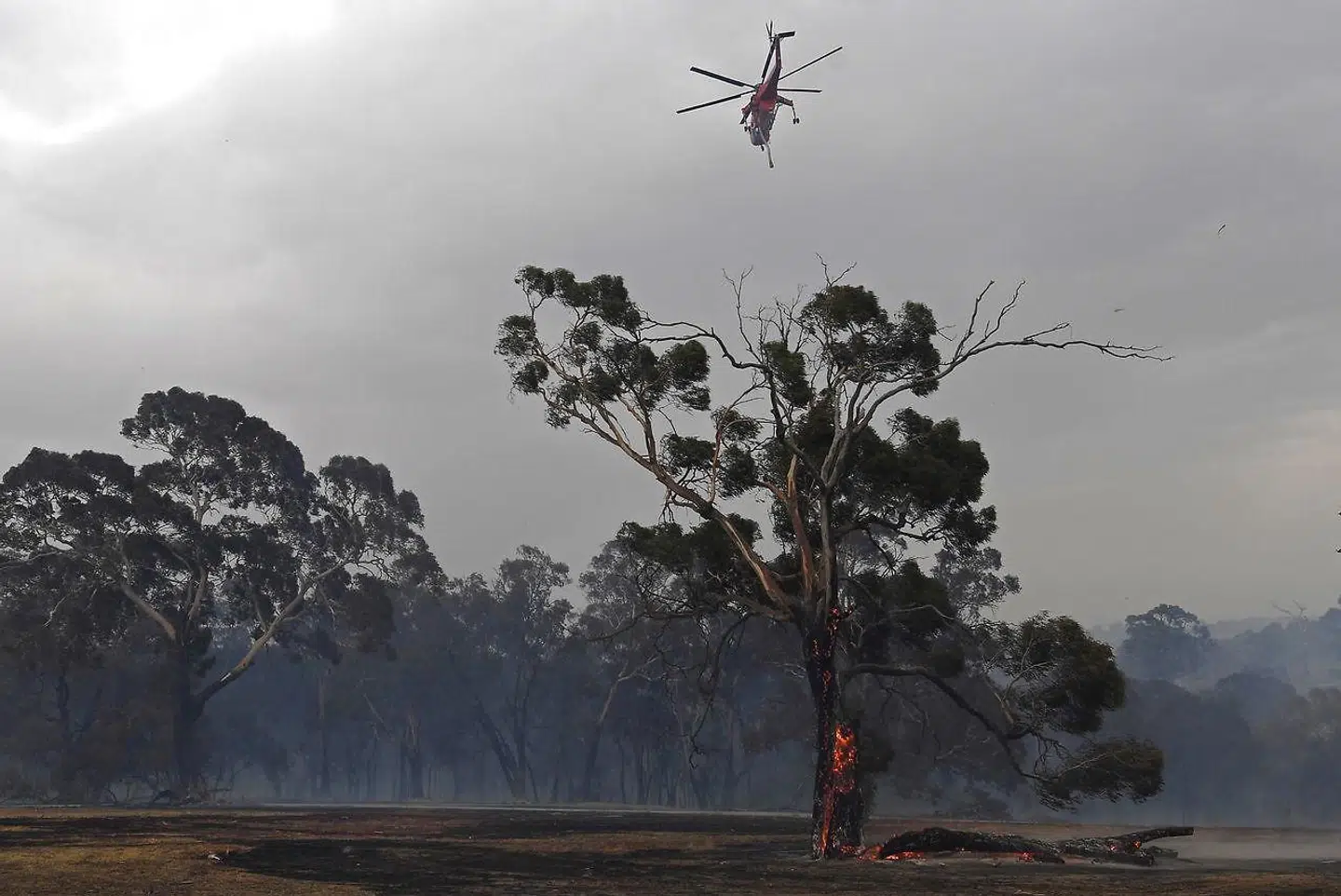 Område nær Melbourne den 30. december 2019.