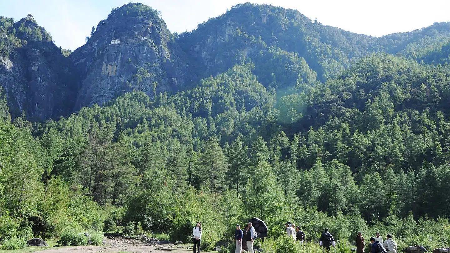 Den frodige natur i Bhutan.