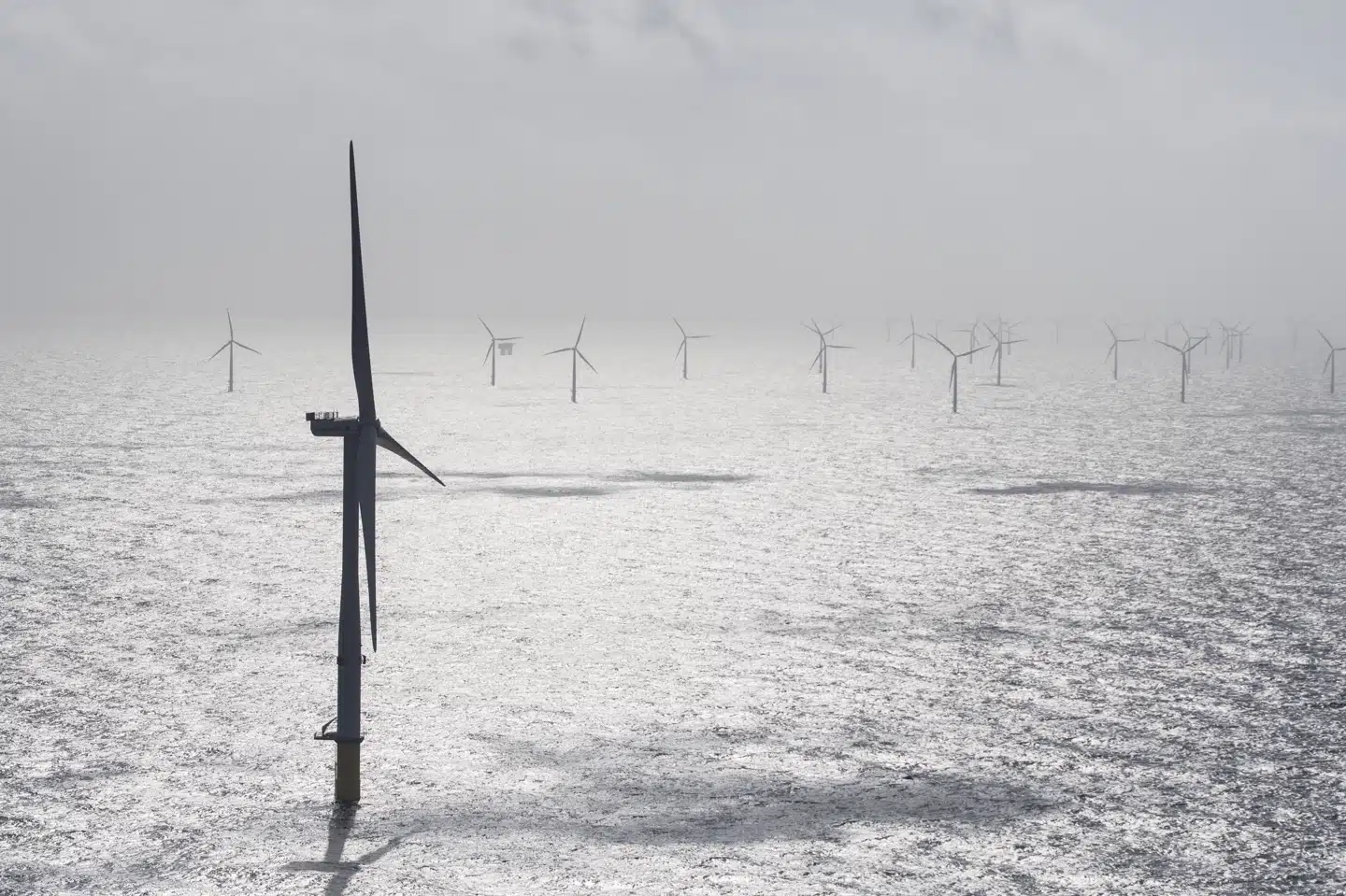 Al strøm ender i det fælles elnet - uanset om du abonnerer på klimavenlig strøm eller ej. Som forbruger kan du dog handle klimavenligt ved at købe strøm via et selskab, som støtter og benytter vedvarende energikilder. (Arkivfoto) Michael Drost-Hansen/Ritzau Scanpix