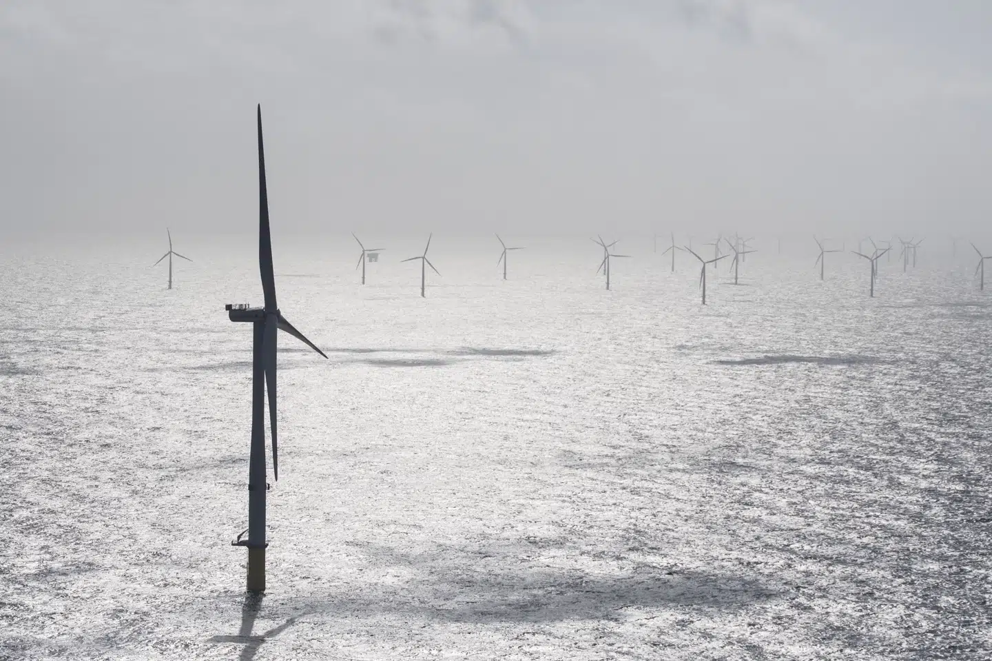 Al strøm ender i det fælles elnet - uanset om du abonnerer på klimavenlig strøm eller ej. Som forbruger kan du dog handle klimavenligt ved at købe strøm via et selskab, som støtter og benytter vedvarende energikilder. (Arkivfoto) Michael Drost-Hansen/Ritzau Scanpix