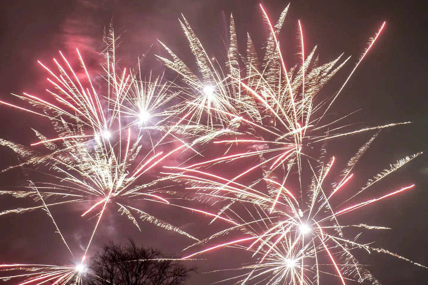Fyrværkeri over Roskilde nytårsaften. Det bør kun være tilladt at fyre fyrværkeri af nytårsaften, mener Enhedslistens retsordfører, Rosa Lund. (Arkivfoto) Mads Claus Rasmussen/Ritzau Scanpix