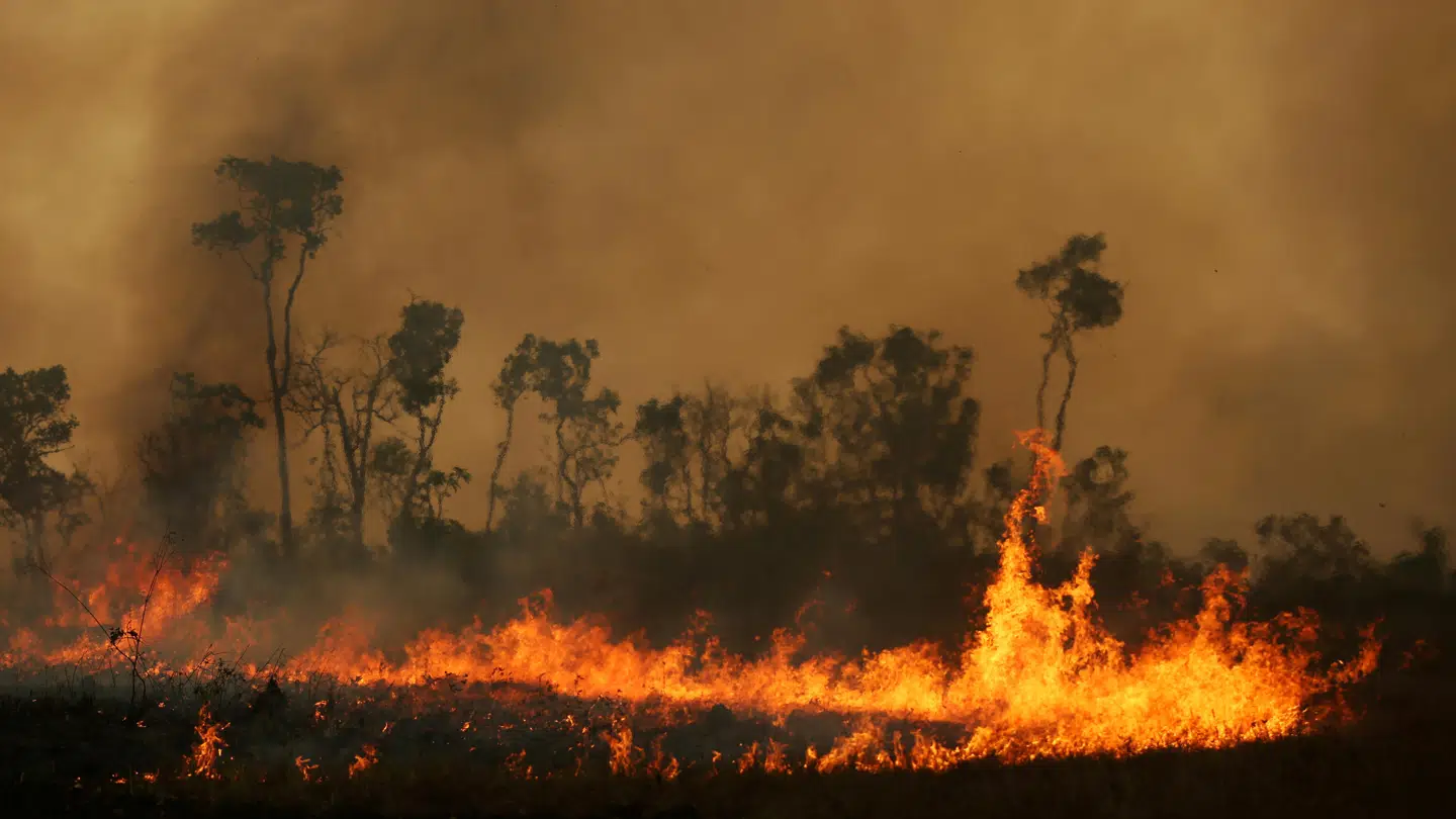 Arkivfoto. Amazonas har været hårdt ramt af skovbrænde den seneste tid.
