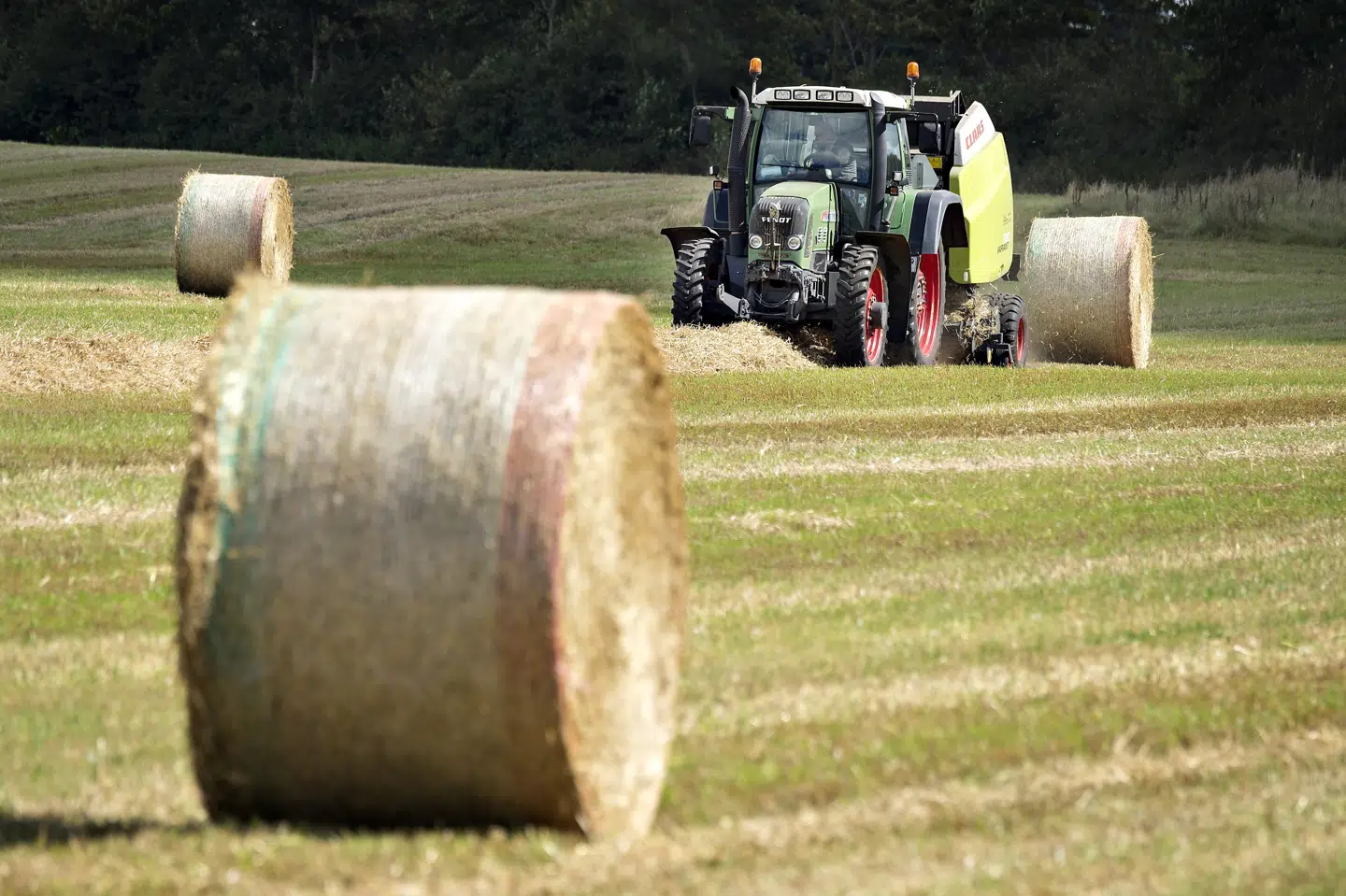 På en sønderjysk svinefarm står flere hundrede såkaldte bigballer i brand. Bigballer er sammenpresset halm, og hver balle vejer omkring et halvt ton. (Arkivfoto). Henning Bagger/Ritzau Scanpix