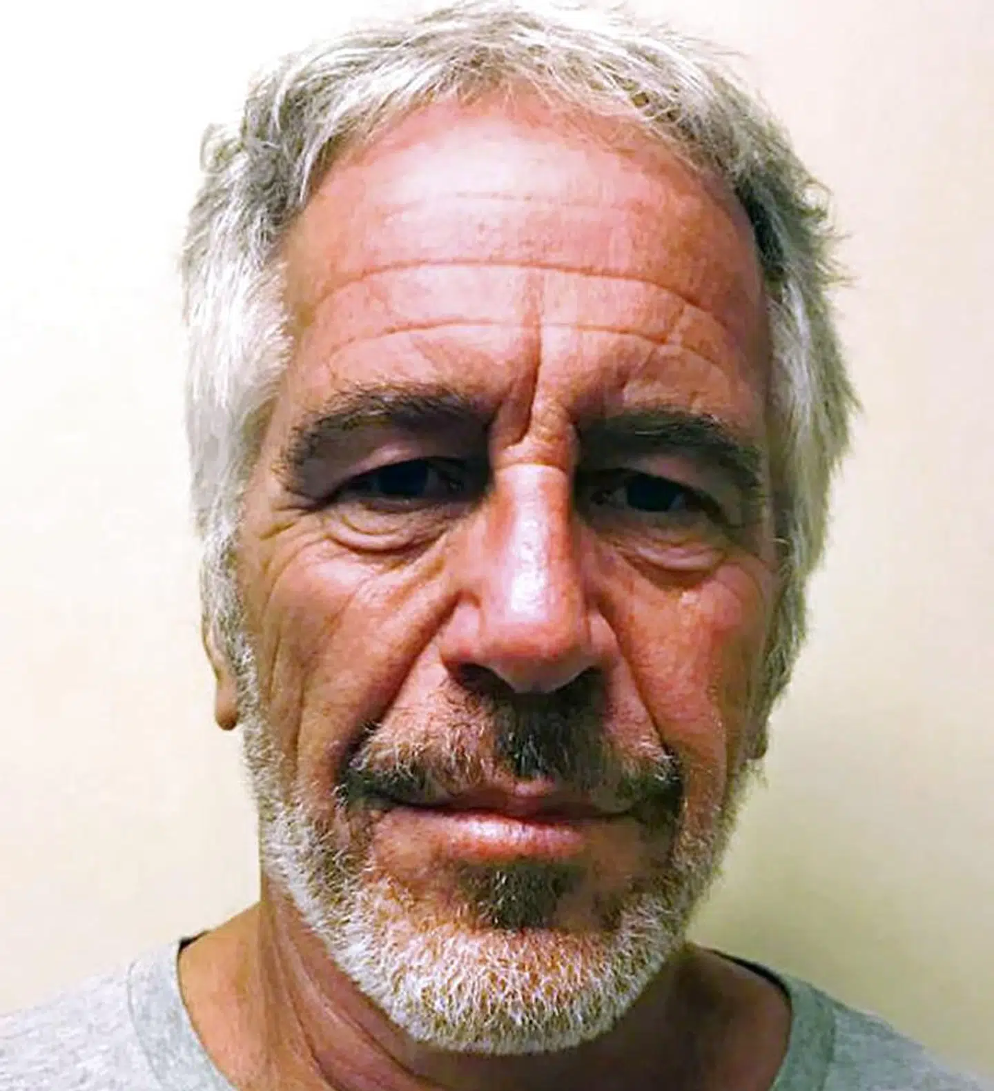 Før han tog sit eget liv, var finansmand og universitetsprofessor Jeffrey Epstein anklaget for pædofili, kidnapning og sex-overgreb.