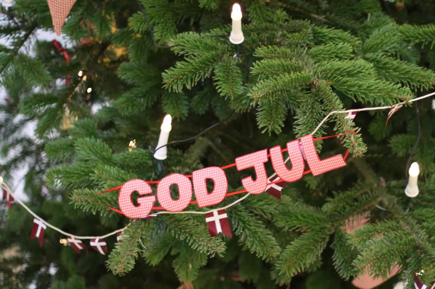 Ifølge Torben Chrintz fra Concito er det store fokus på udledningen fra juletræet lidt skævvredet taget i betragtning, at hver dansker i gennemsnit udleder 200 kilo ekstra CO2 i julen - og juletræet udgør omkring fem procent af det. Det viser et regnestykke fra Concito. (Genrefoto) Colourbox/Free