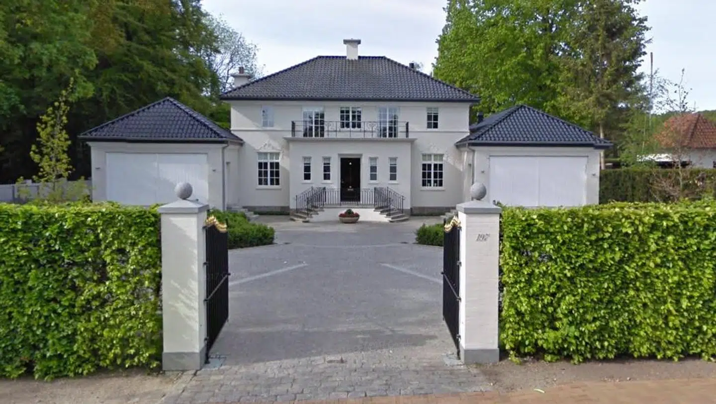 Her ses villiaen på Langelinie i Odense.